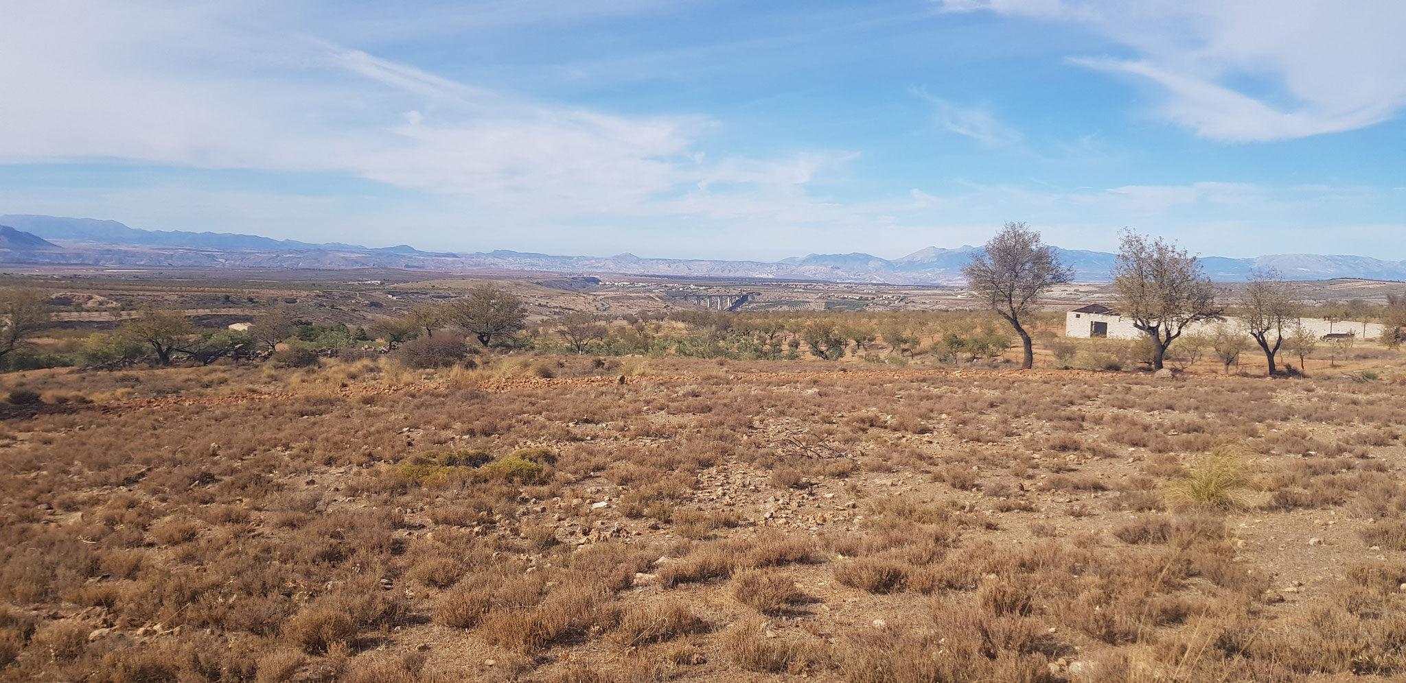 Blick über die Hoya de Guadix Richtung Subbéticas.