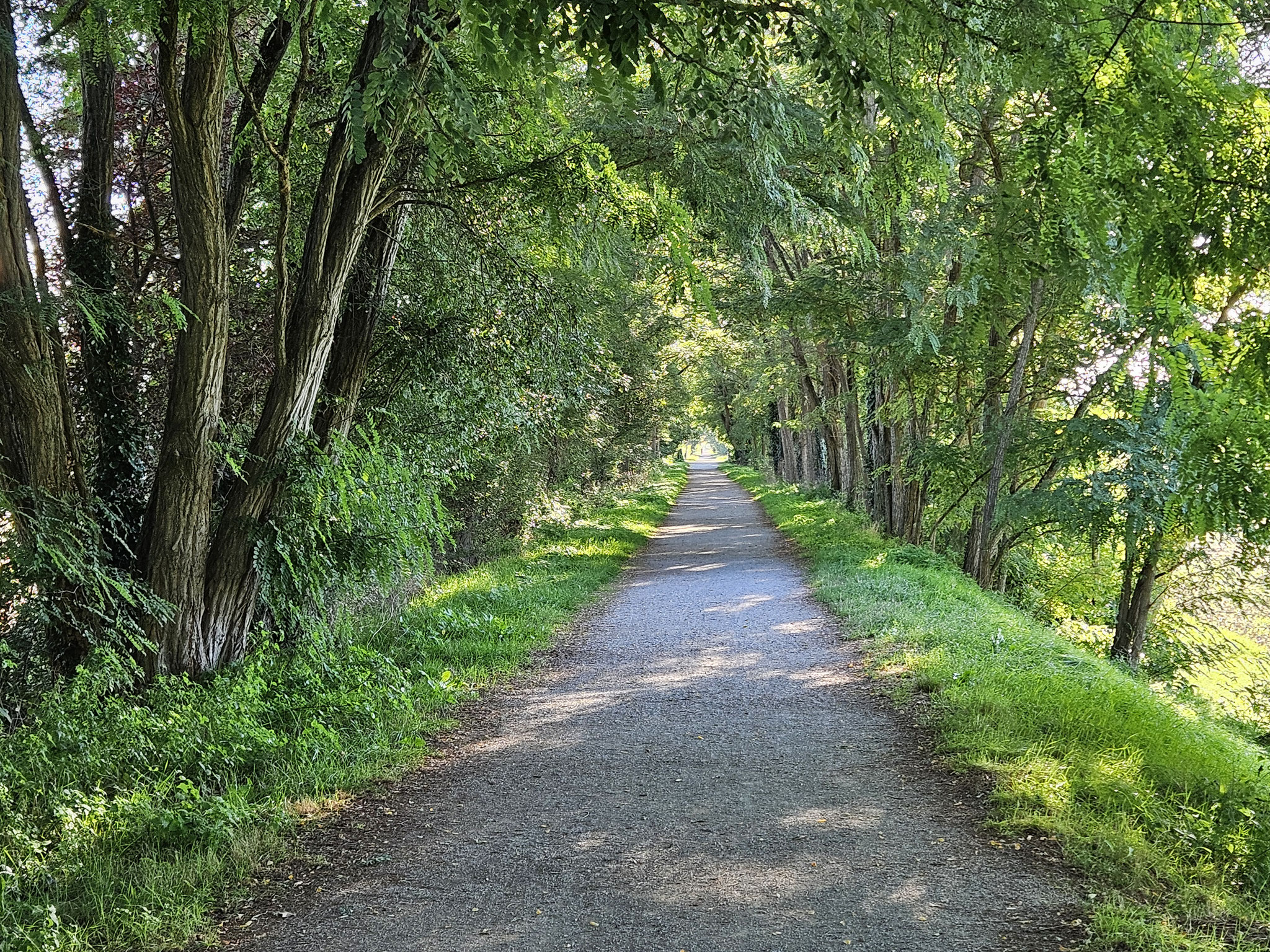 Voie Verte von Mirepoix nach Moulin-Neuf.