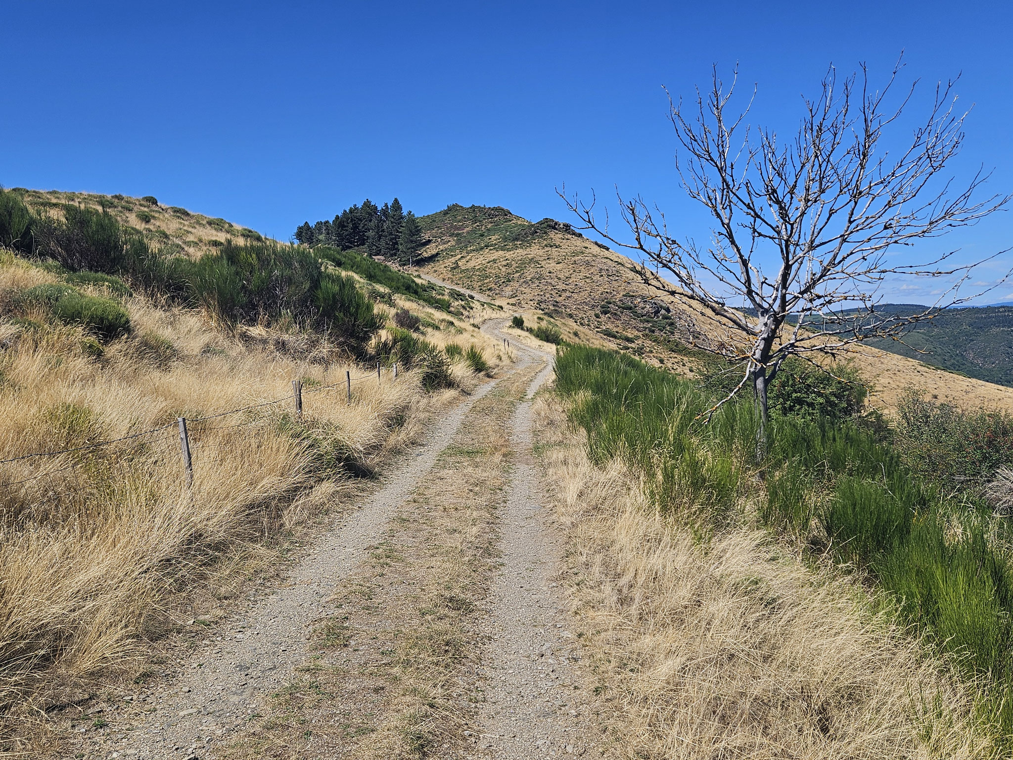 "Corniche des Cévennes" ob Col Salidès.