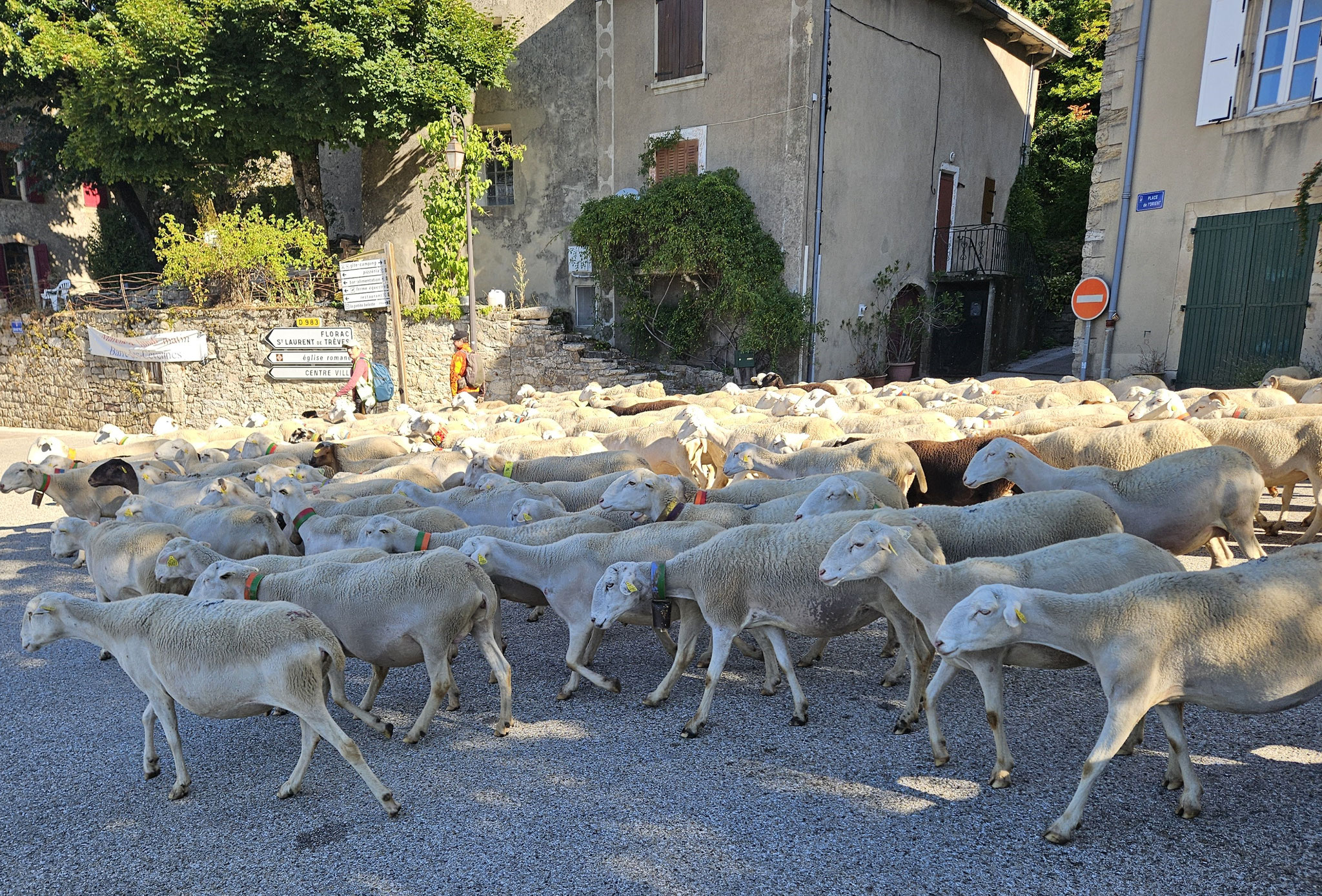 Barre-des-Cévennes.