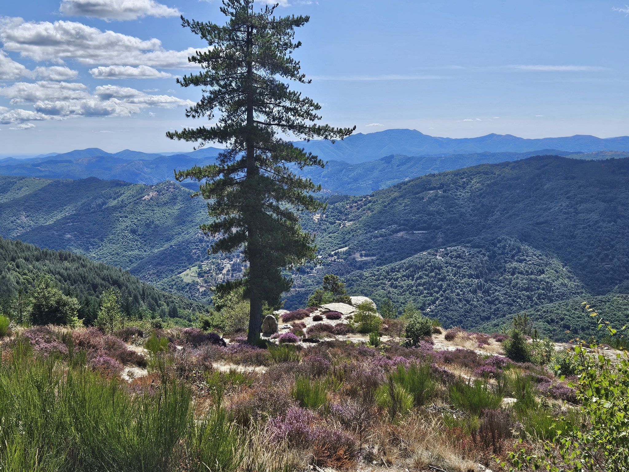 Prähistorische Grabstätte, Blick nach Süden.