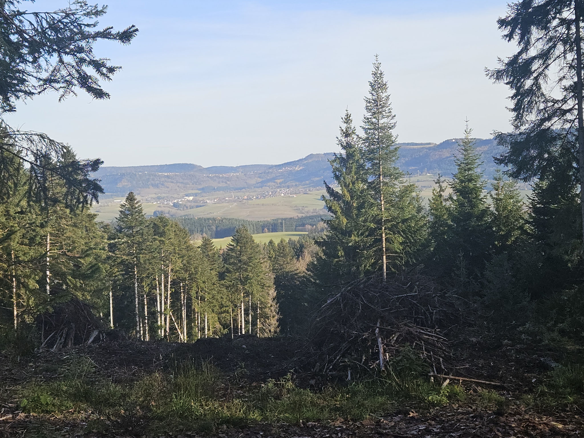 Am Nordhang des "Horn", Blick über Primtal zum Albtrauf.