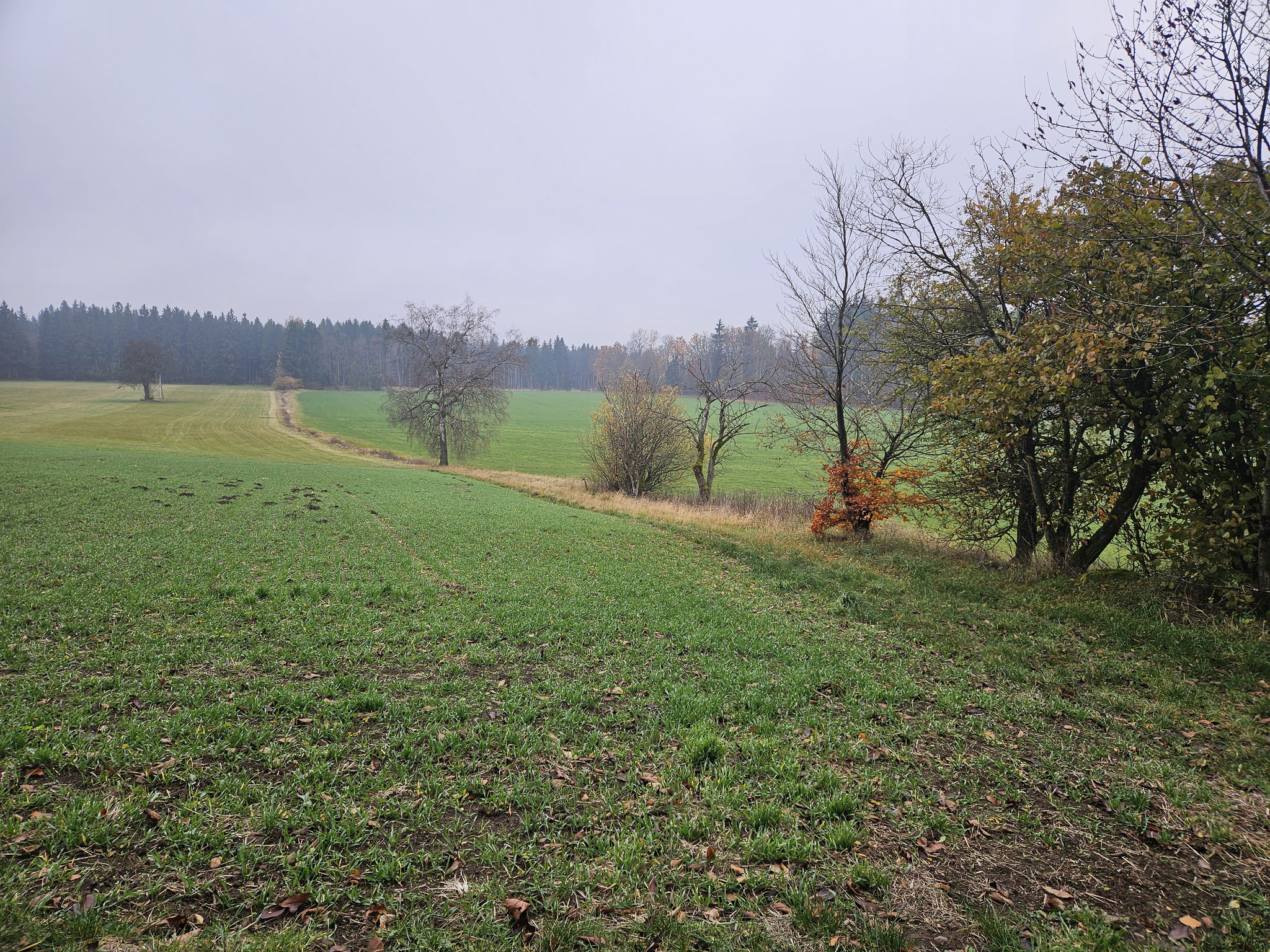 Am Plössberg.