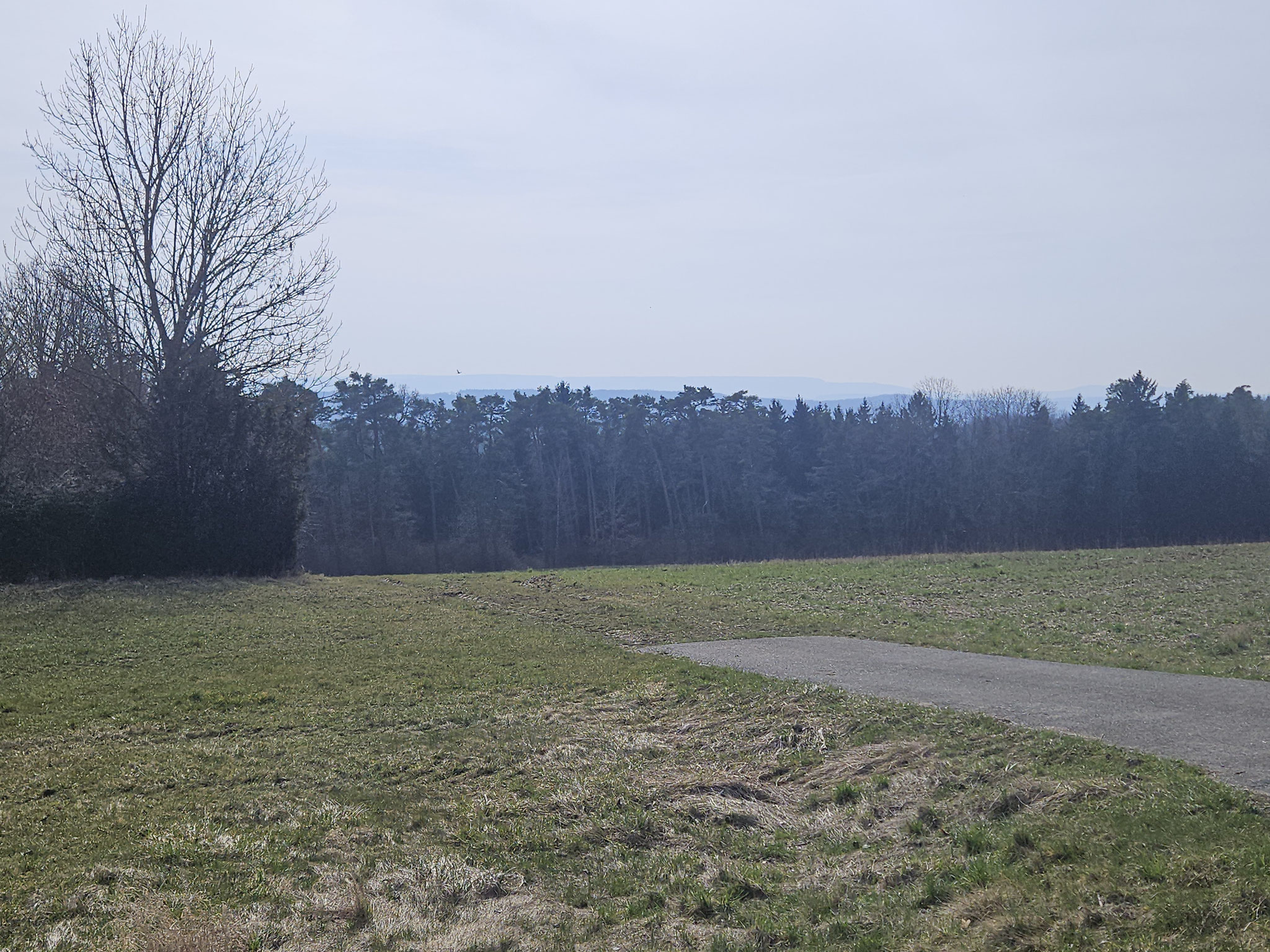 Blick von Gräfensteinberg nach Süden.