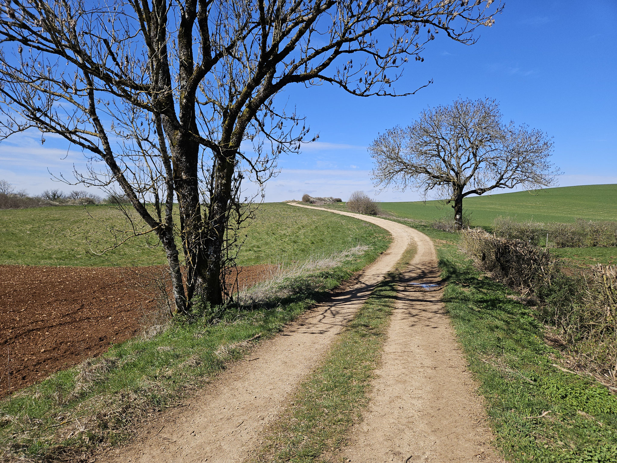 Auf dem GR 2 Richtung Froideville.