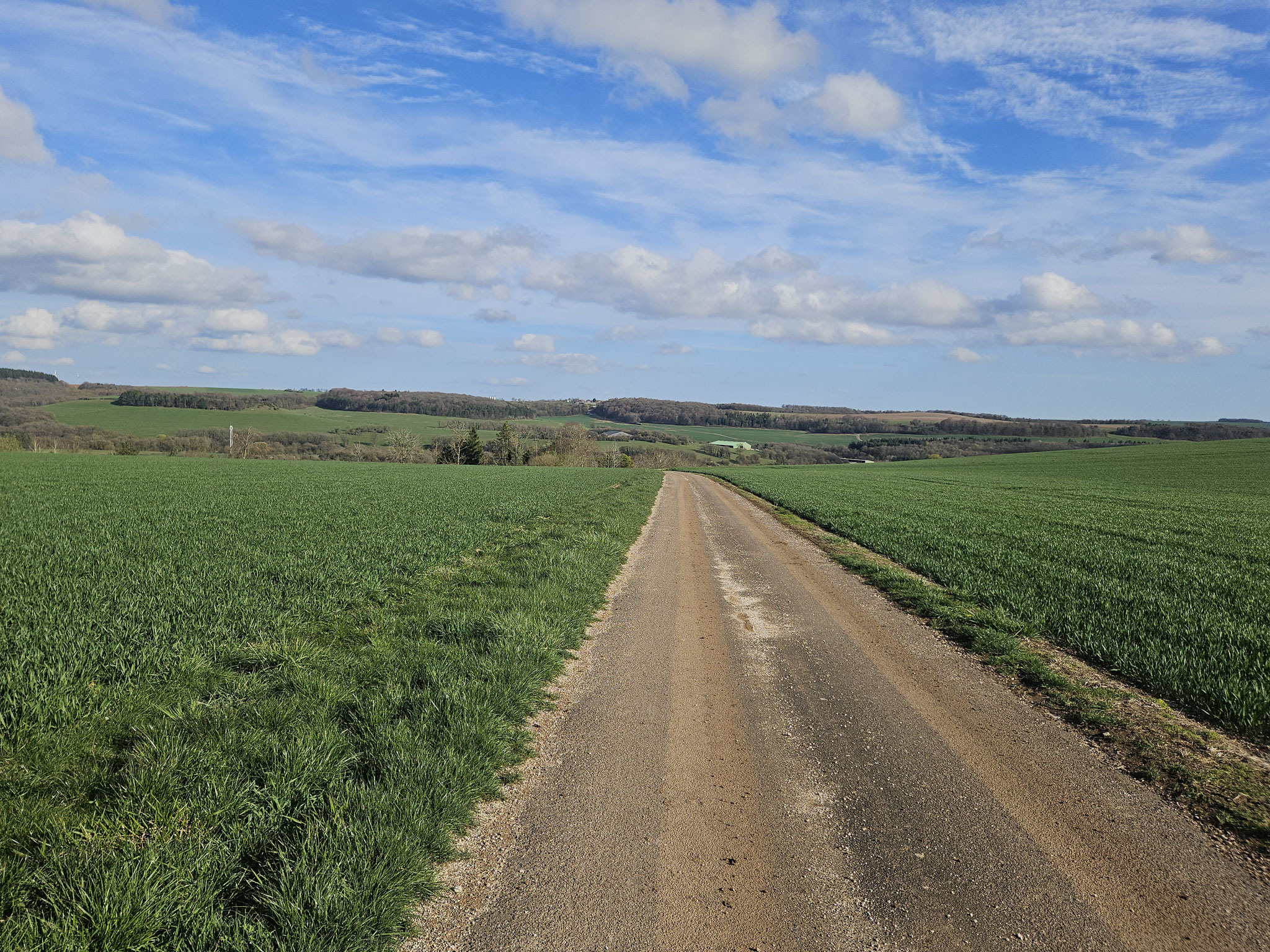 Vor Mouilleron.