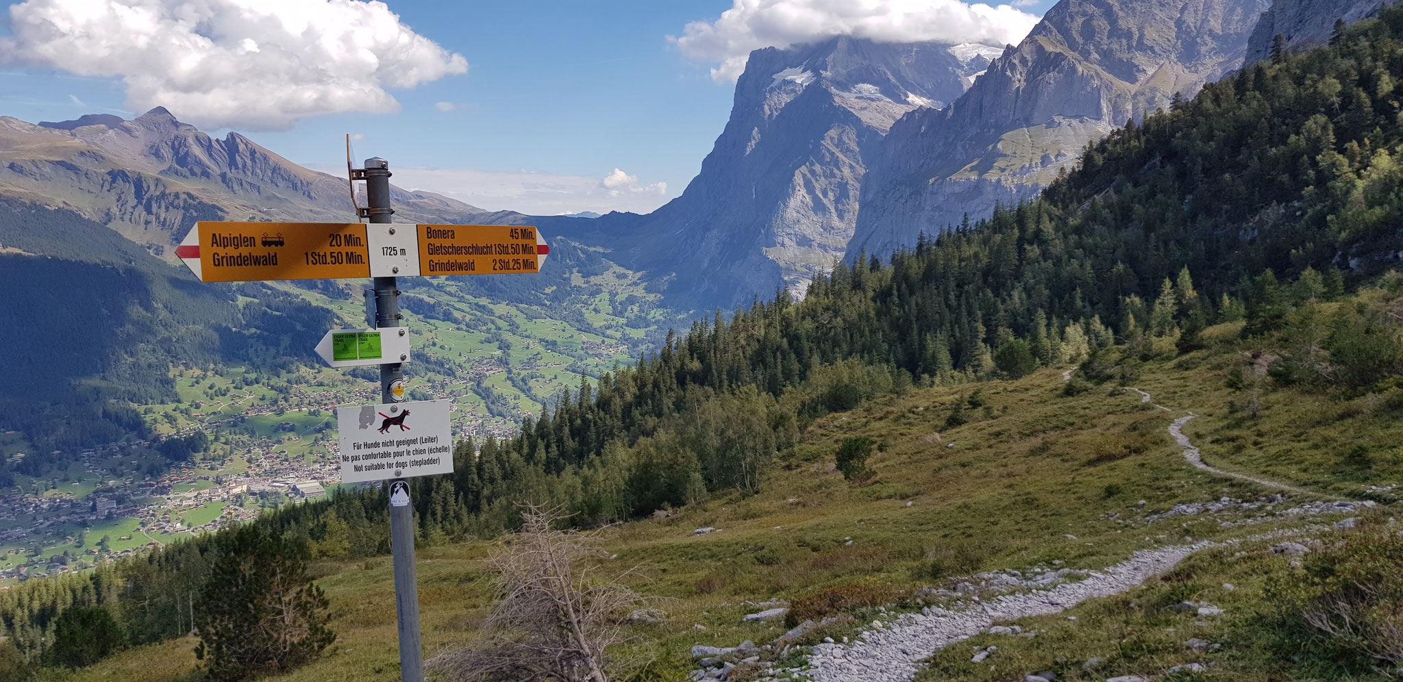 Ob Alpiglen. Ende des Eiger-Trails. 