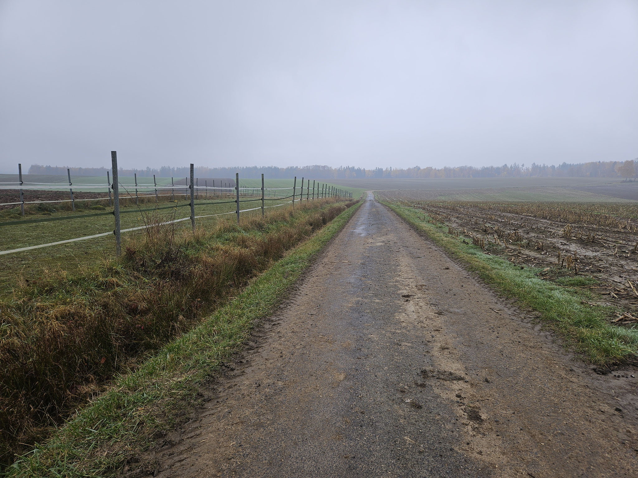 Bei Schönfeld.