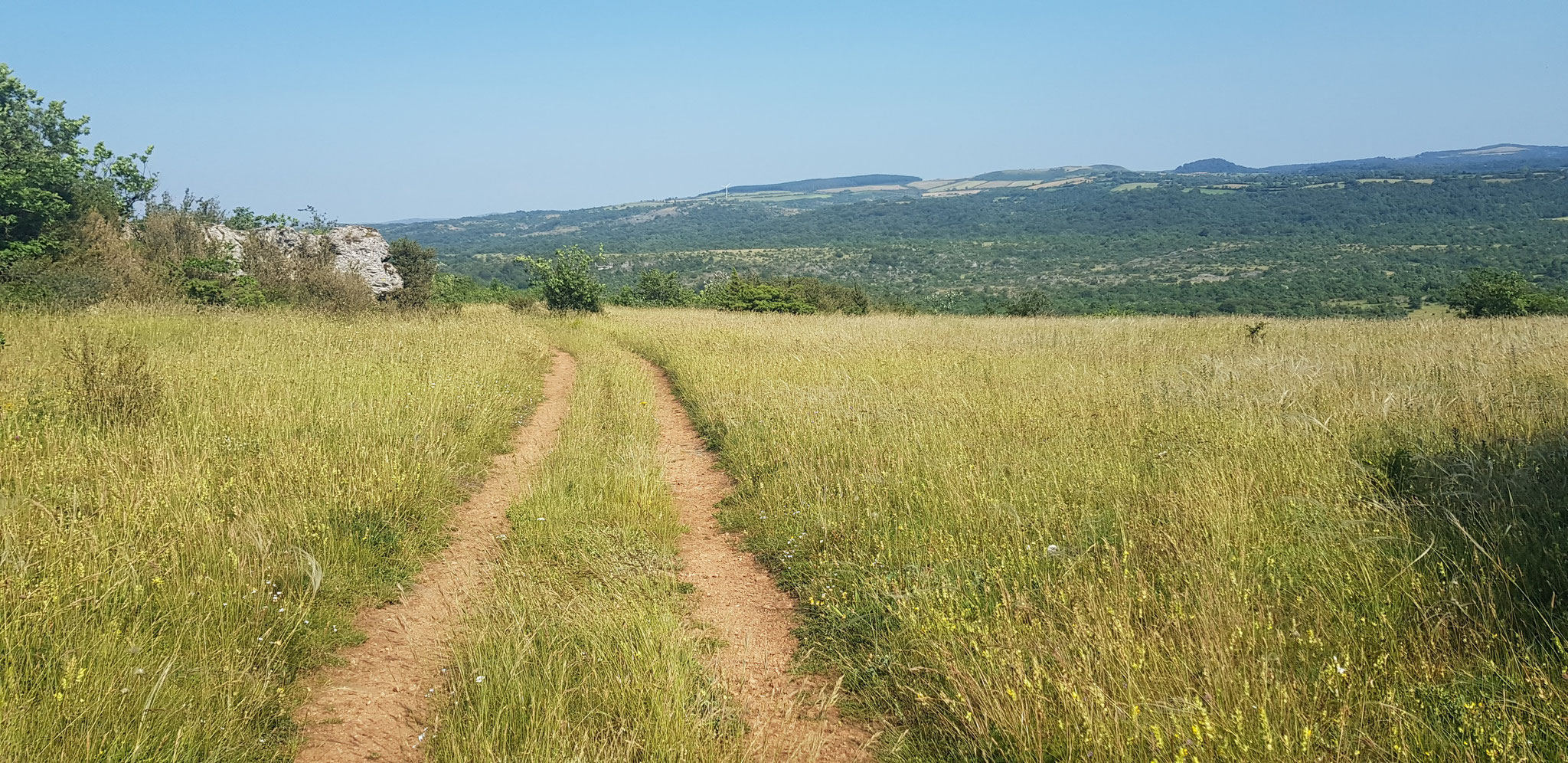 Plateau de Guilhaumard.