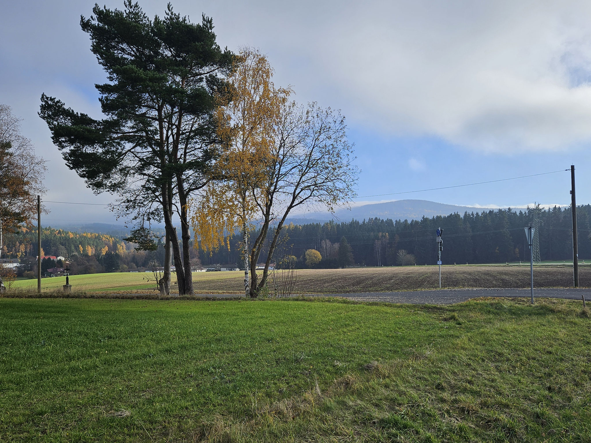 Bei Zottenwies. Blick zur Steinwald Platte.