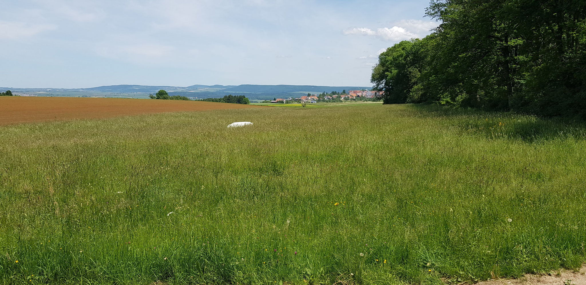 Blick Richtung Fürstenberg und Schwäbische Alb.