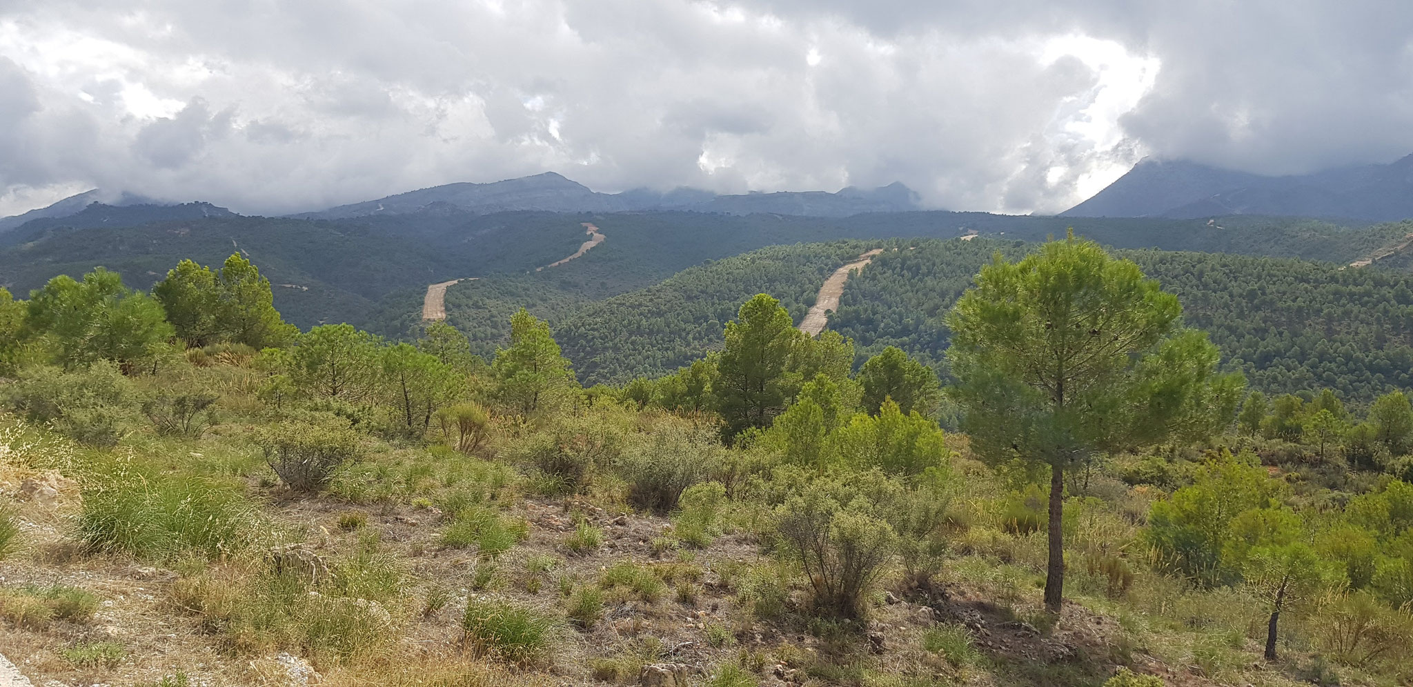 Brandschneisen vor der Sierra de Almijara.