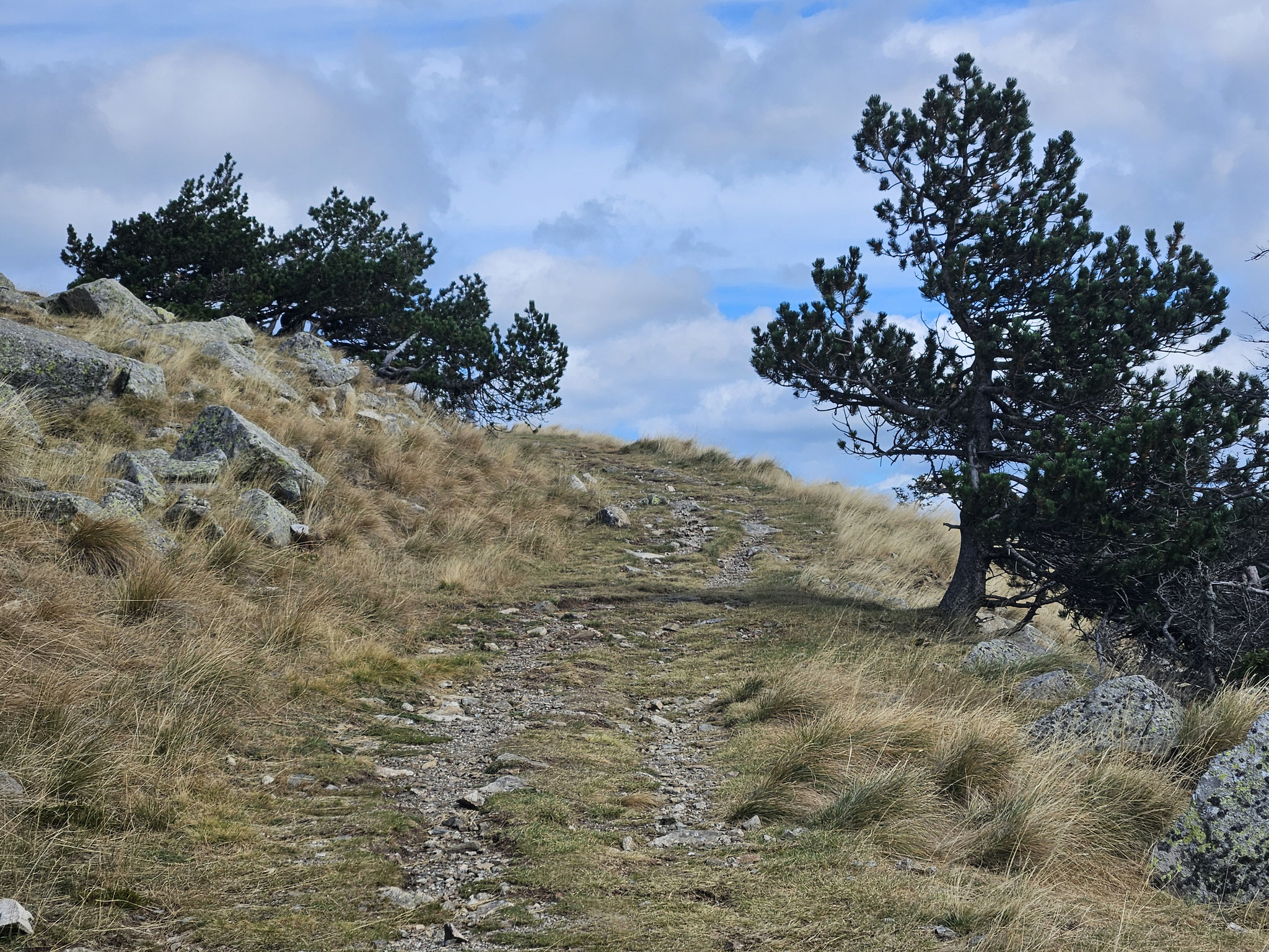 Aufstieg zum Mont Aigoual.