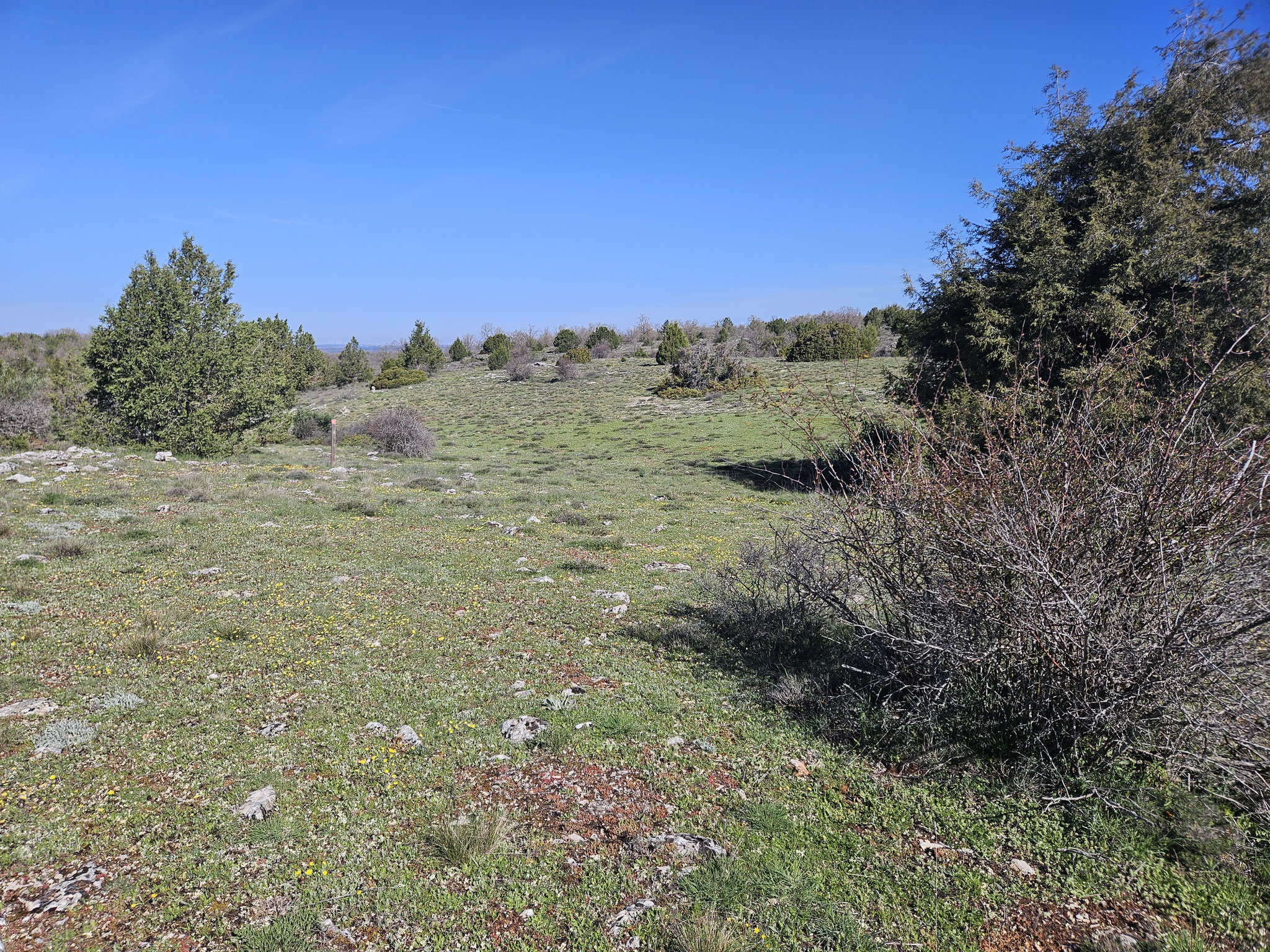 Alto de Valdelacasa.