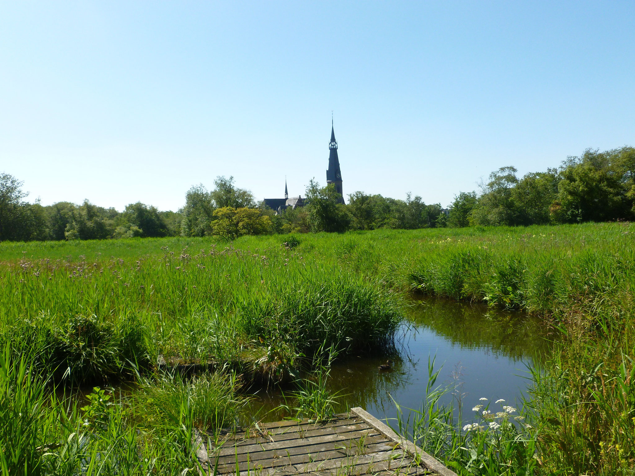 Amsterdamse Bos, Blick auf Amstelveen.