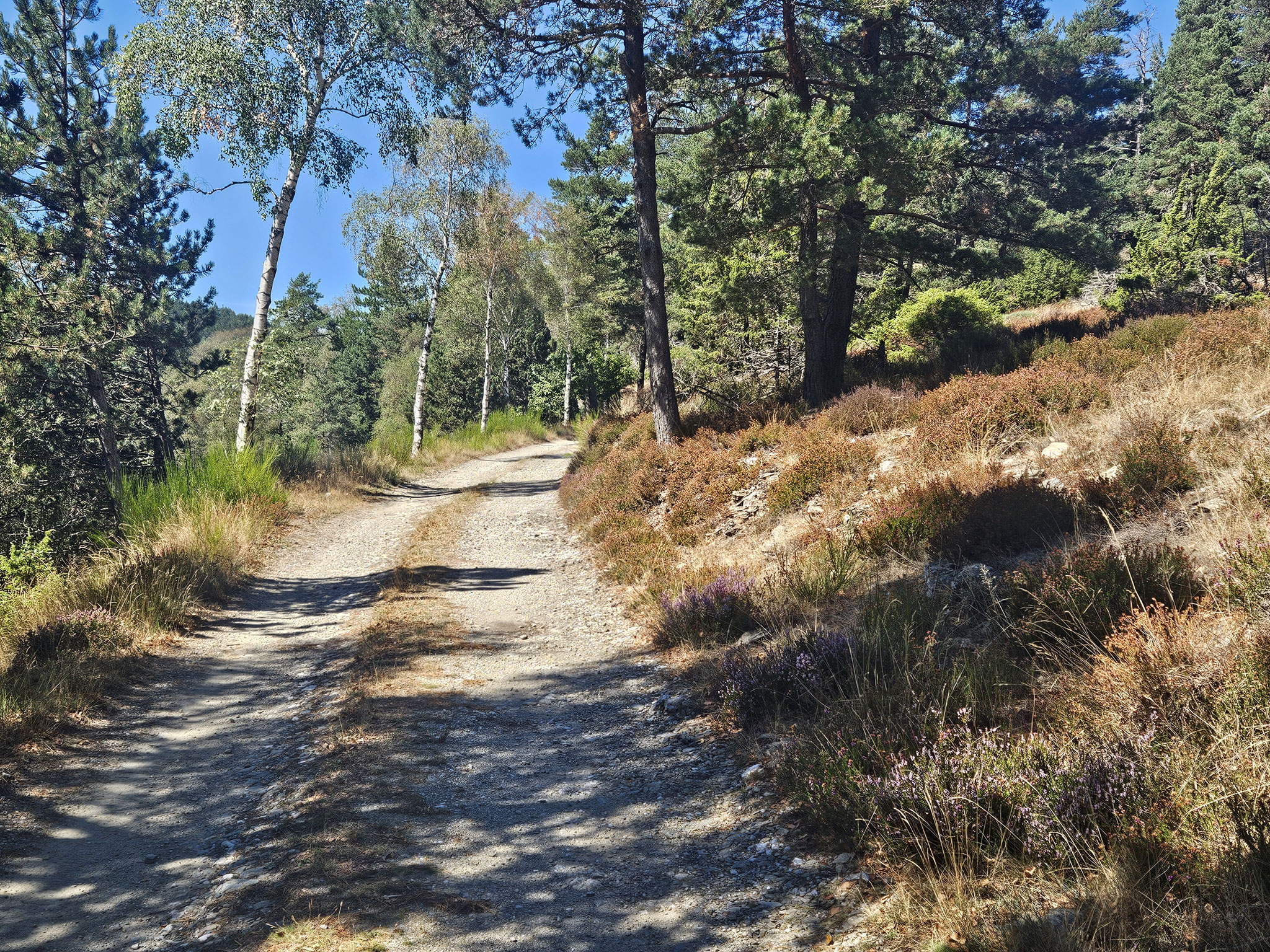 GR 7 bei Serre de Tarnon.