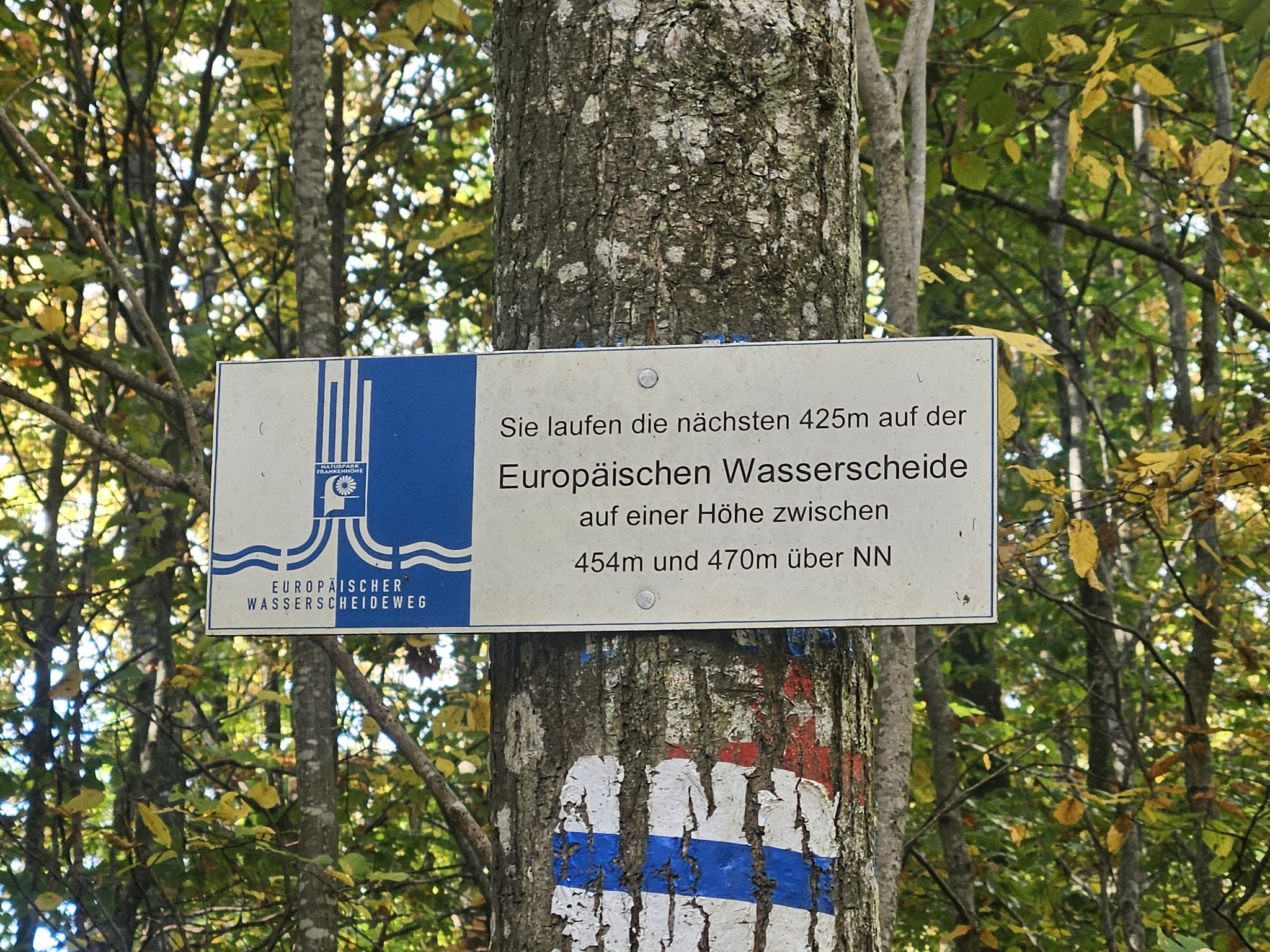 Immer wieder auf des Wassers Scheide.