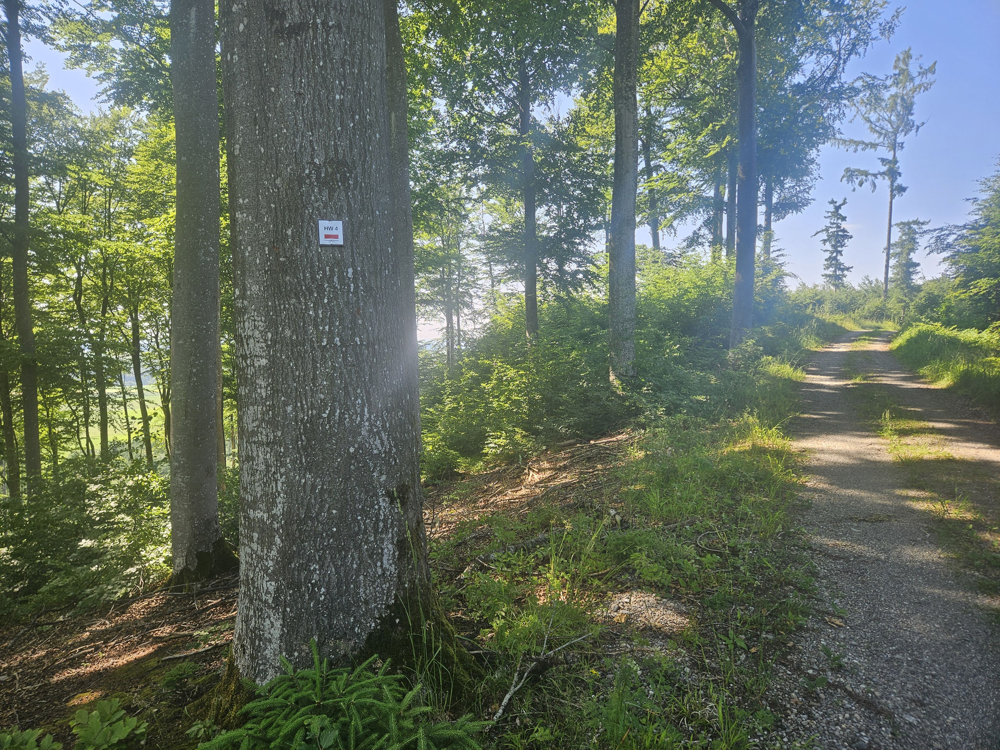 Bei Neuwaldsee.
