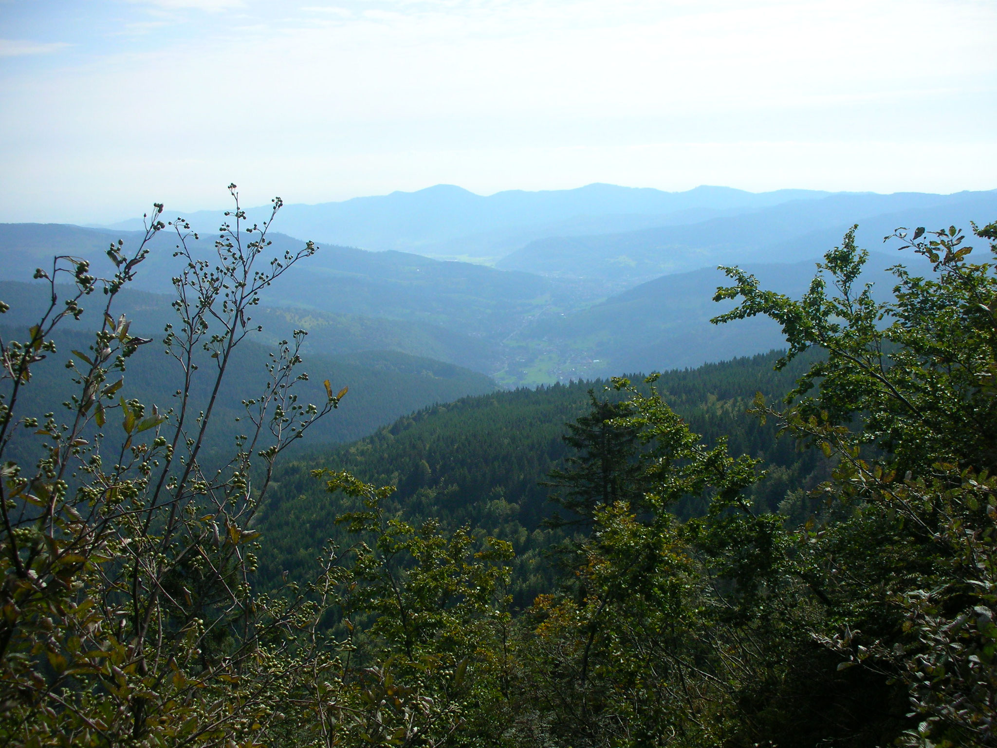 Hohneck, Blick nach Westen.