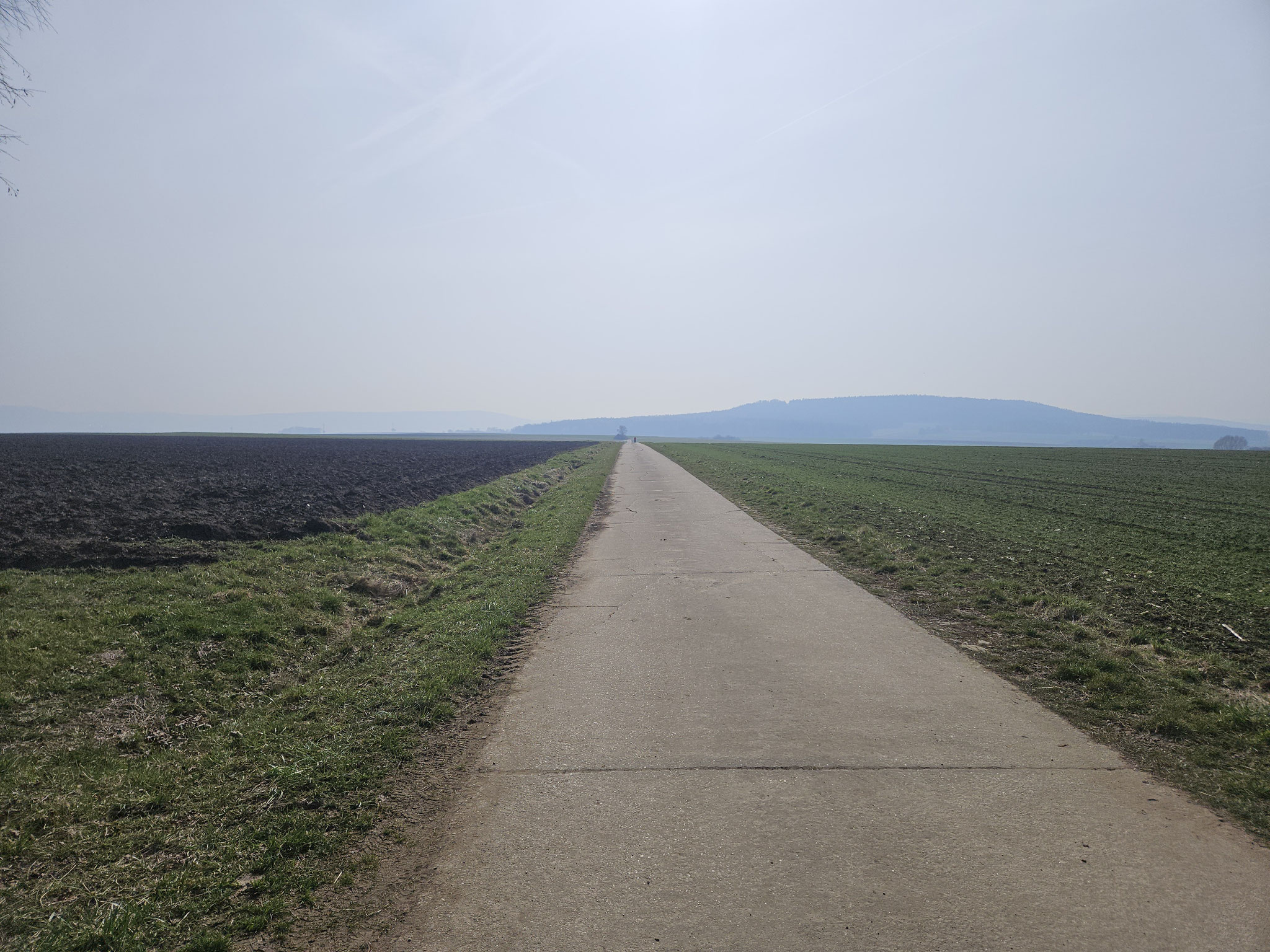 Dem Flüglinger Berg entgegen.