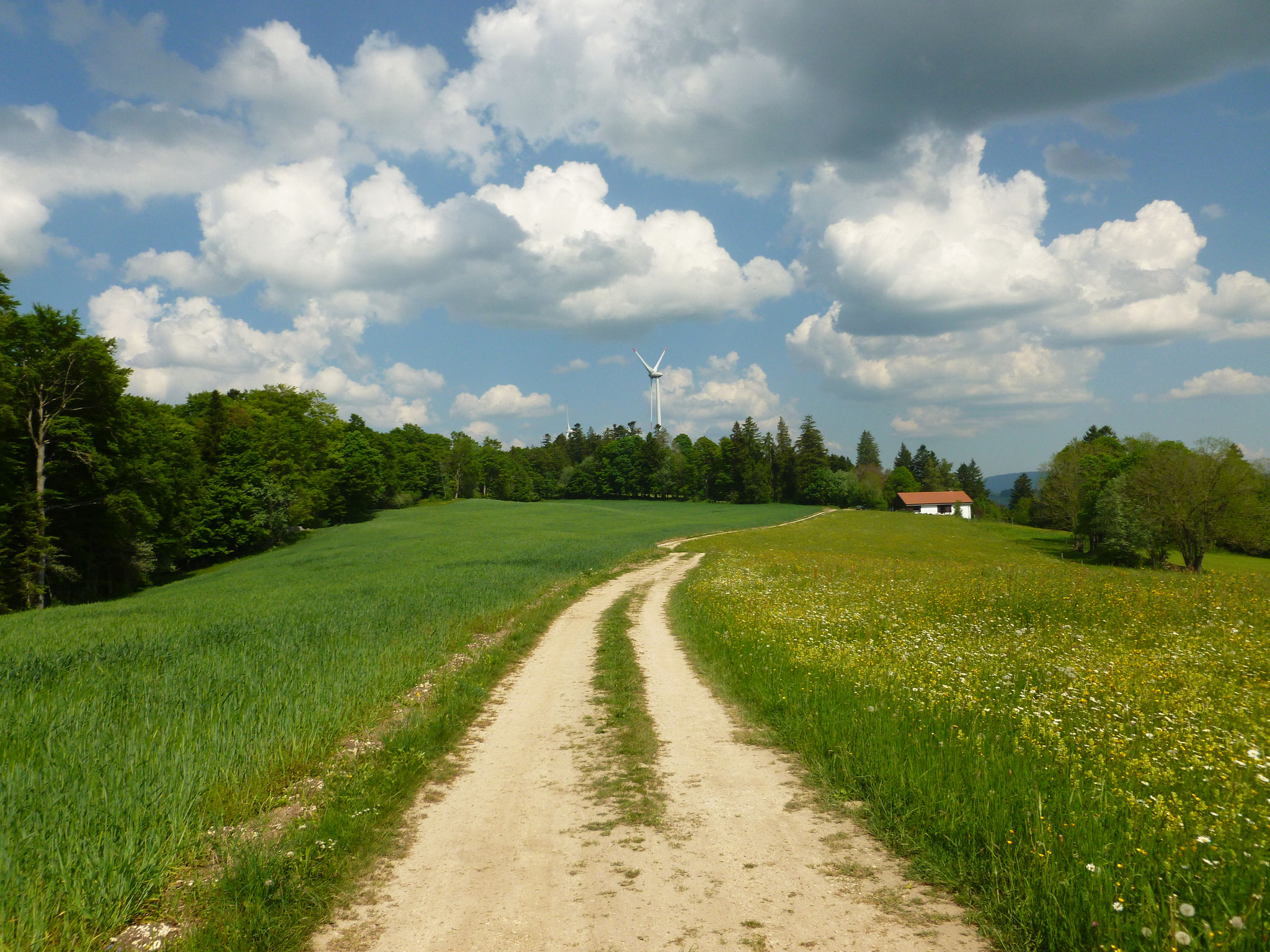 Le Plain, Blickzurück.