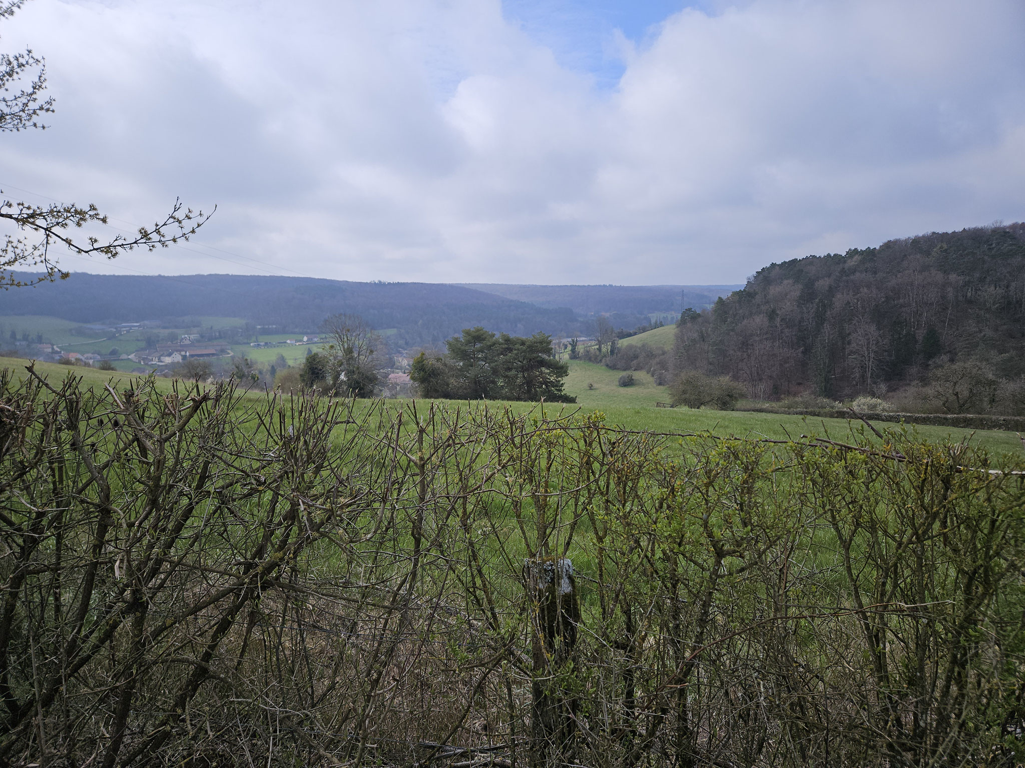 Sur les Coteaux, Ignon-Tal.