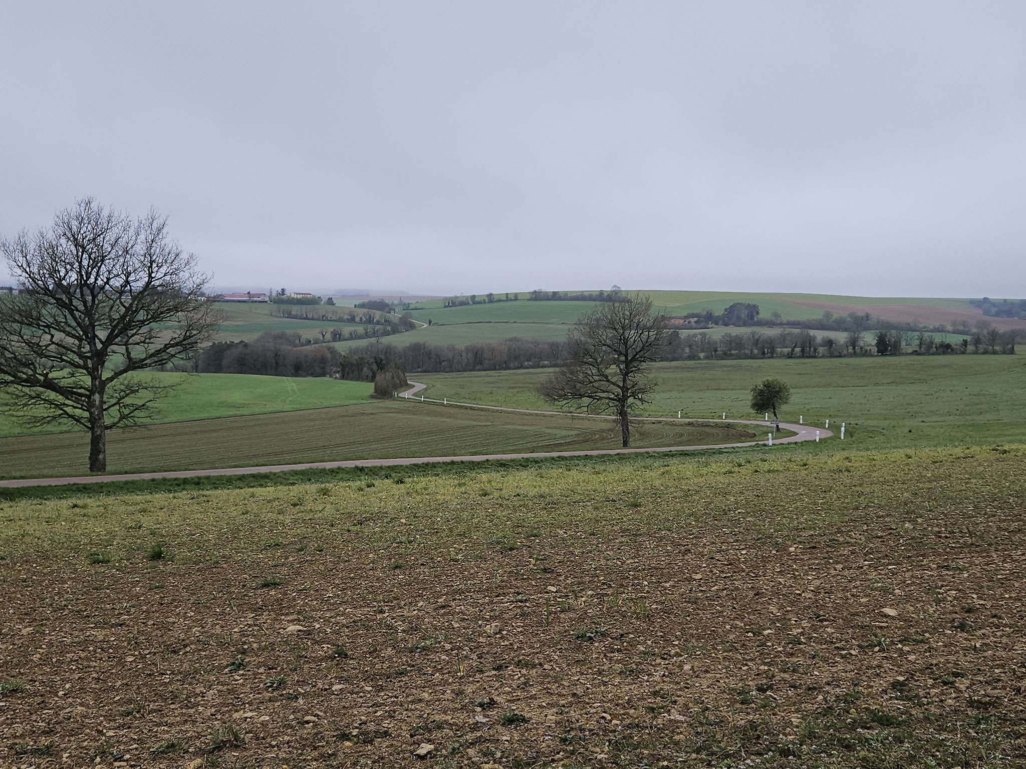 Mont de Fosse, Blick retour.