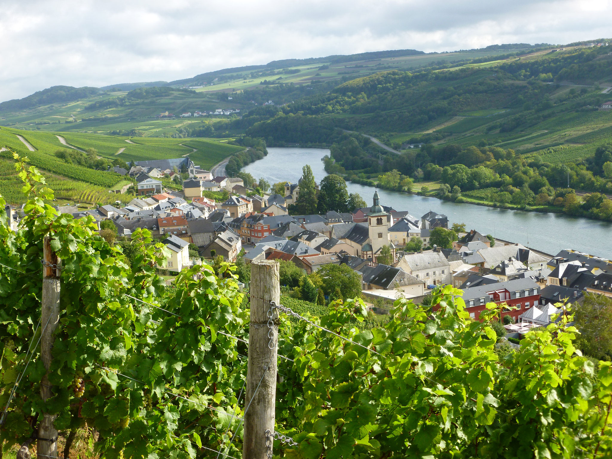 Moseltal bei Wormeldange.