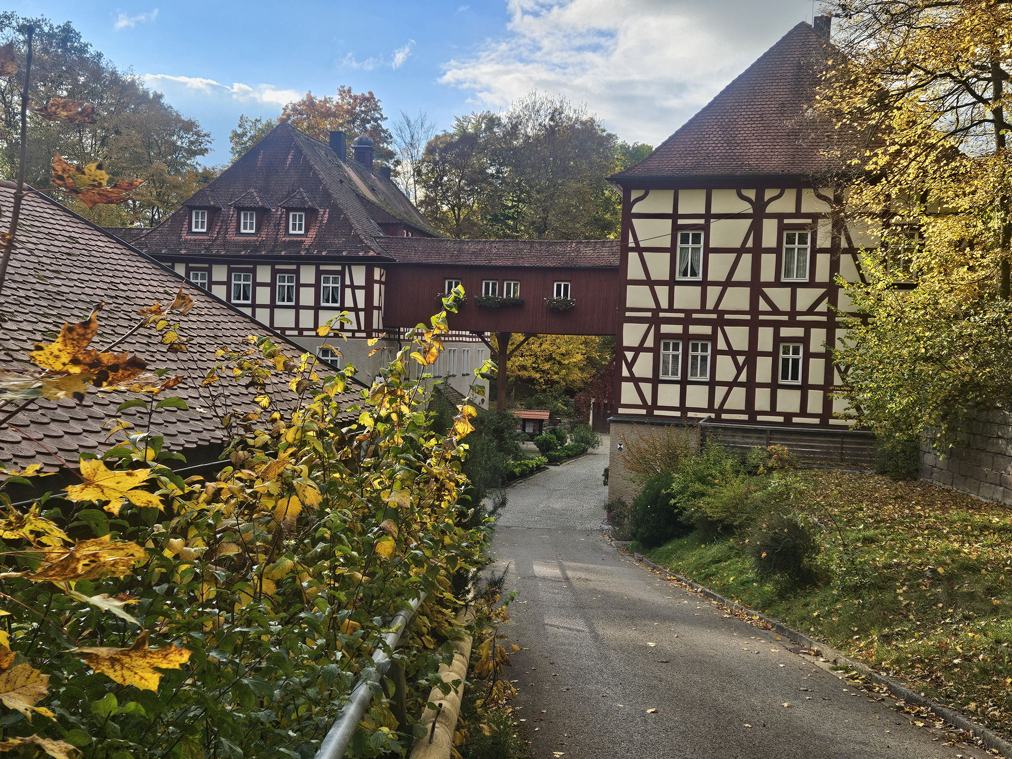 Waldgasthof Wildbad.