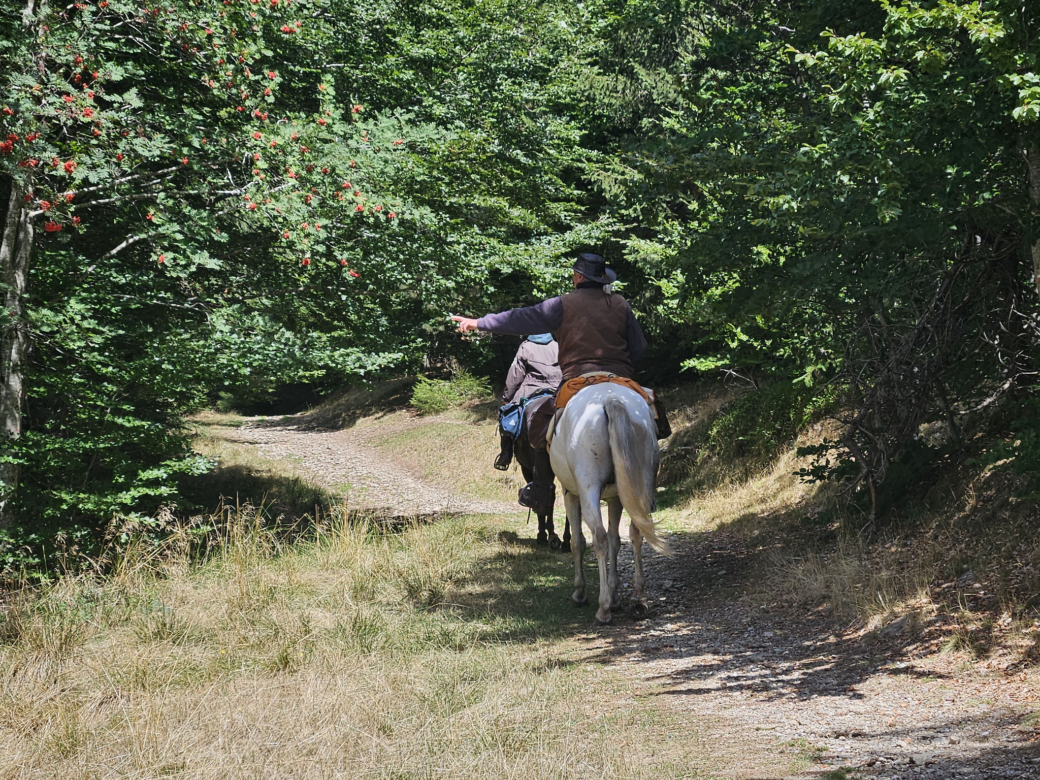 Reiter ob Col de la Serreyrède.