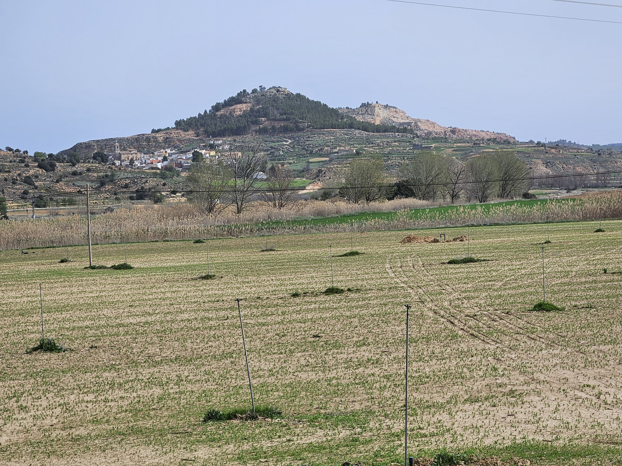 Castillejo del Romeral.