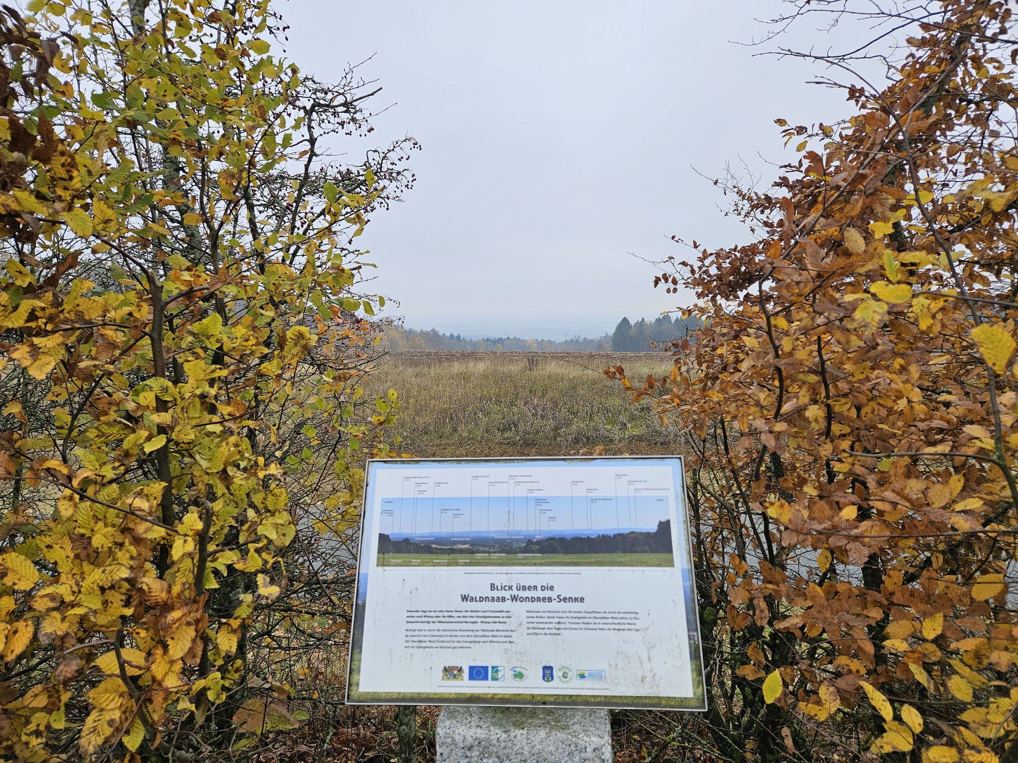 EHWS bei Herzogöd, Ost-"Sicht": Waldnaab-Wondreb-Senke.
