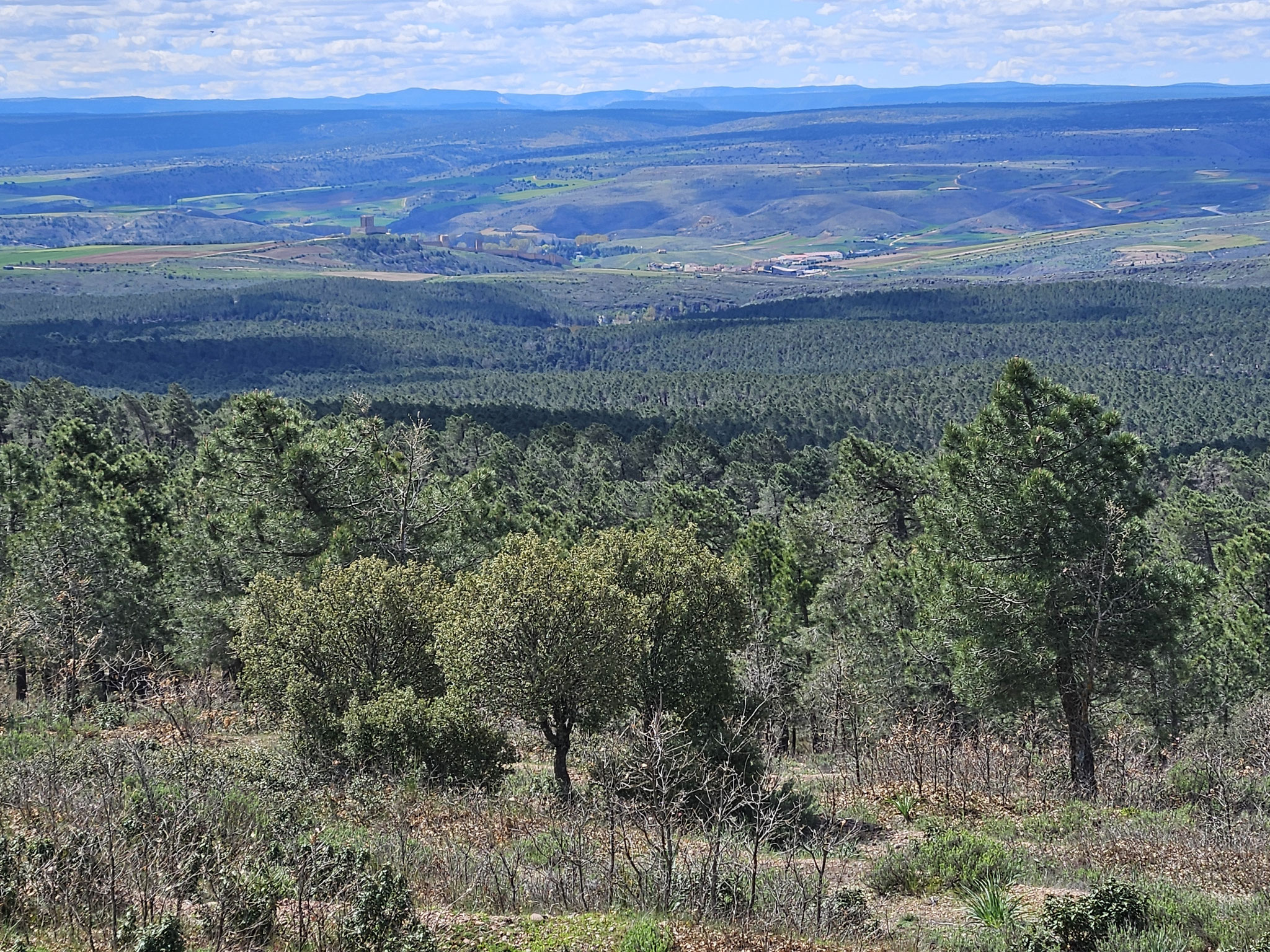 Pie de l'Hombre, Blick auf Molina de Aragón.