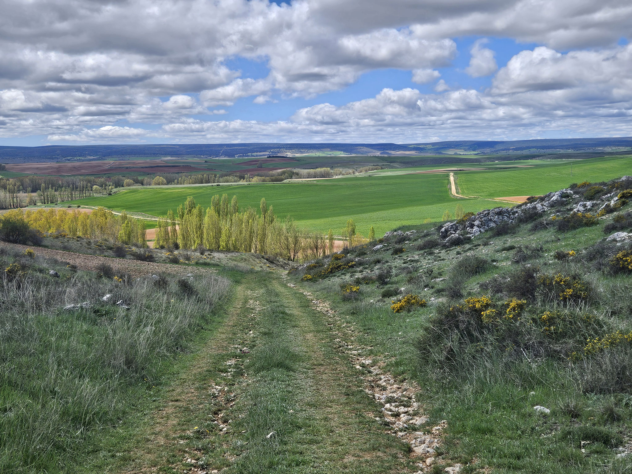 Vor Aldehuela.