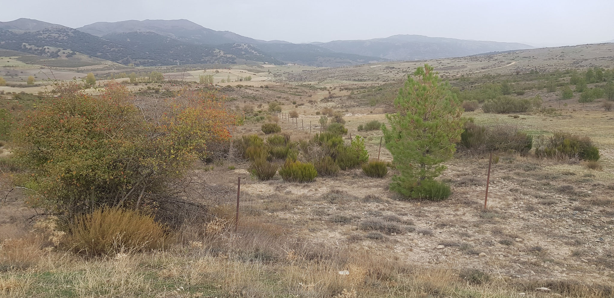 Blick zurück über die Vega de Santiago.