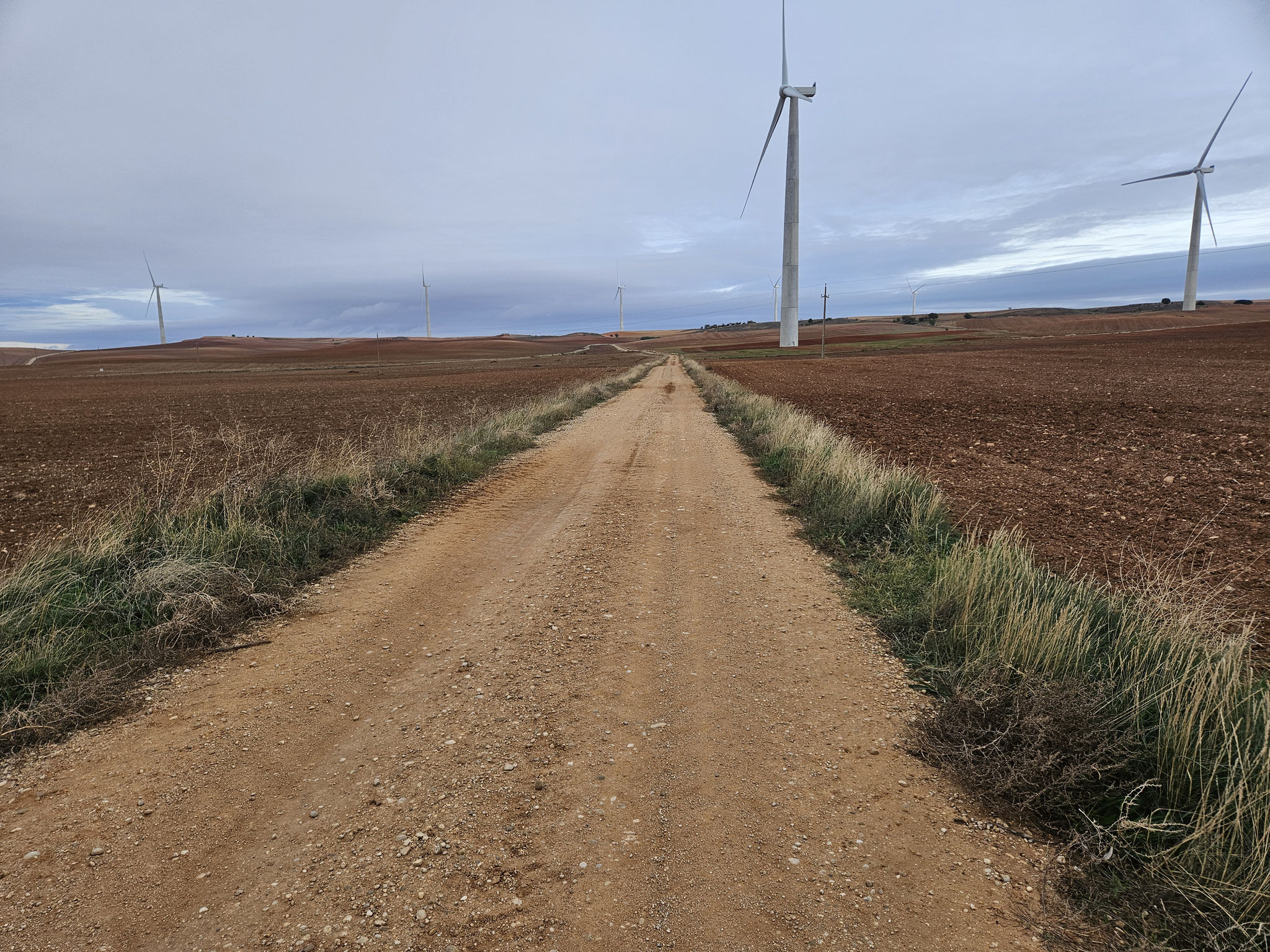 Auf dem Weg nach Torrubia del Castillo.