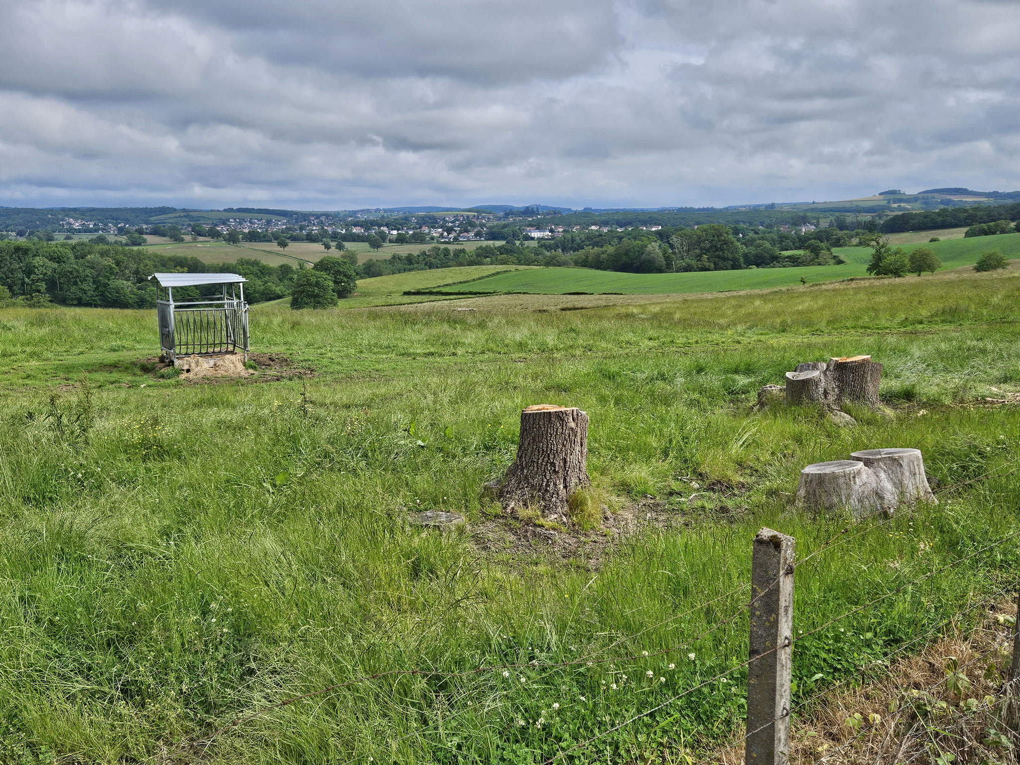 Bois Labert, Blick nach Le Creusot (Westen).