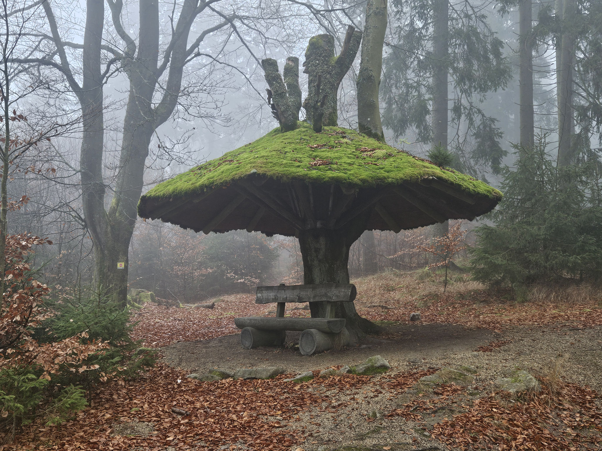 Am Plattenweg.