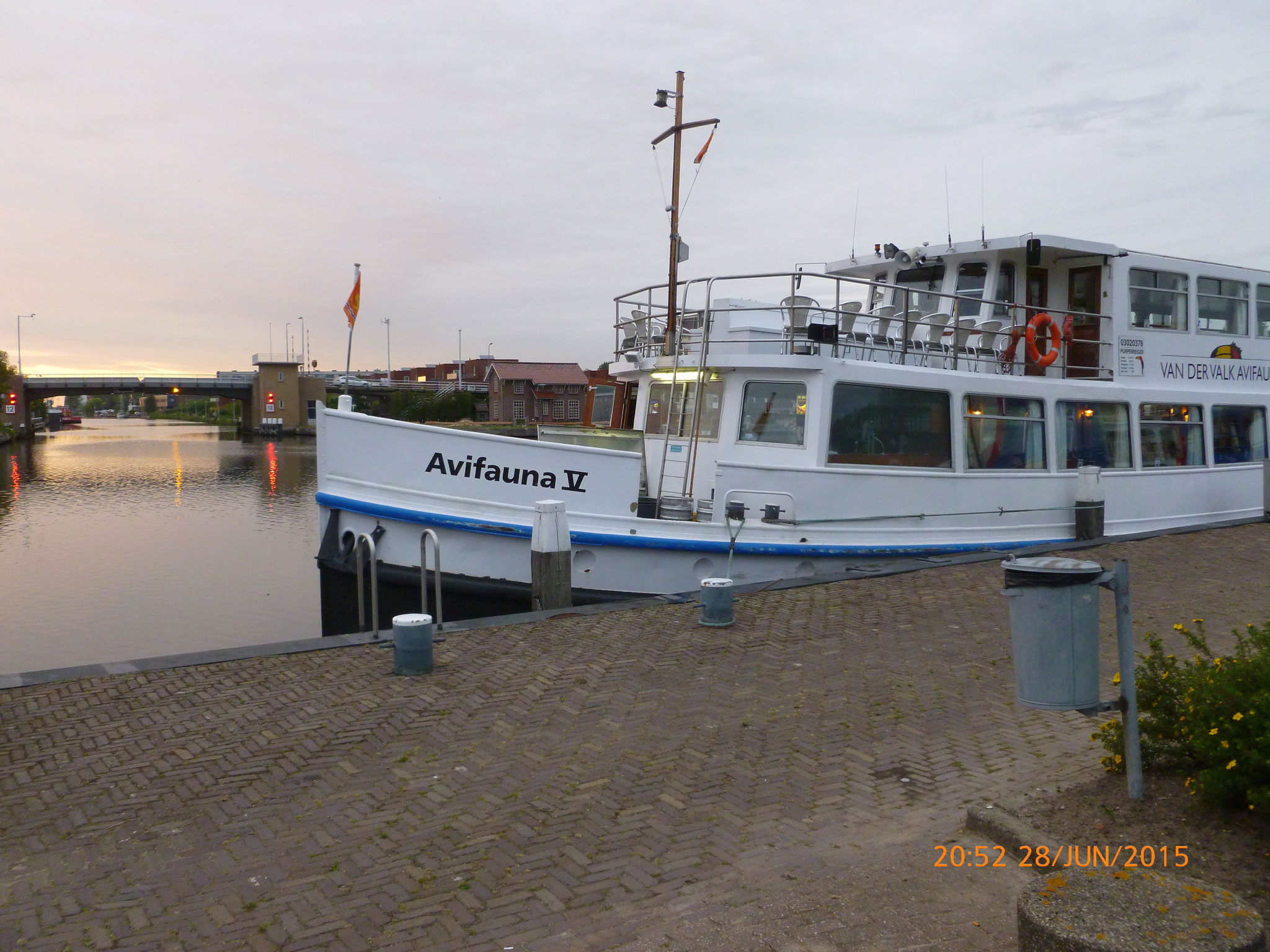 Avifauna, Oude Rijn.