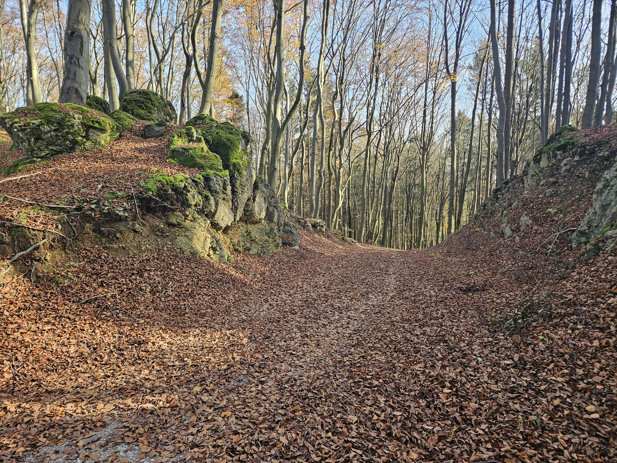 Bei den Wirtshängen.