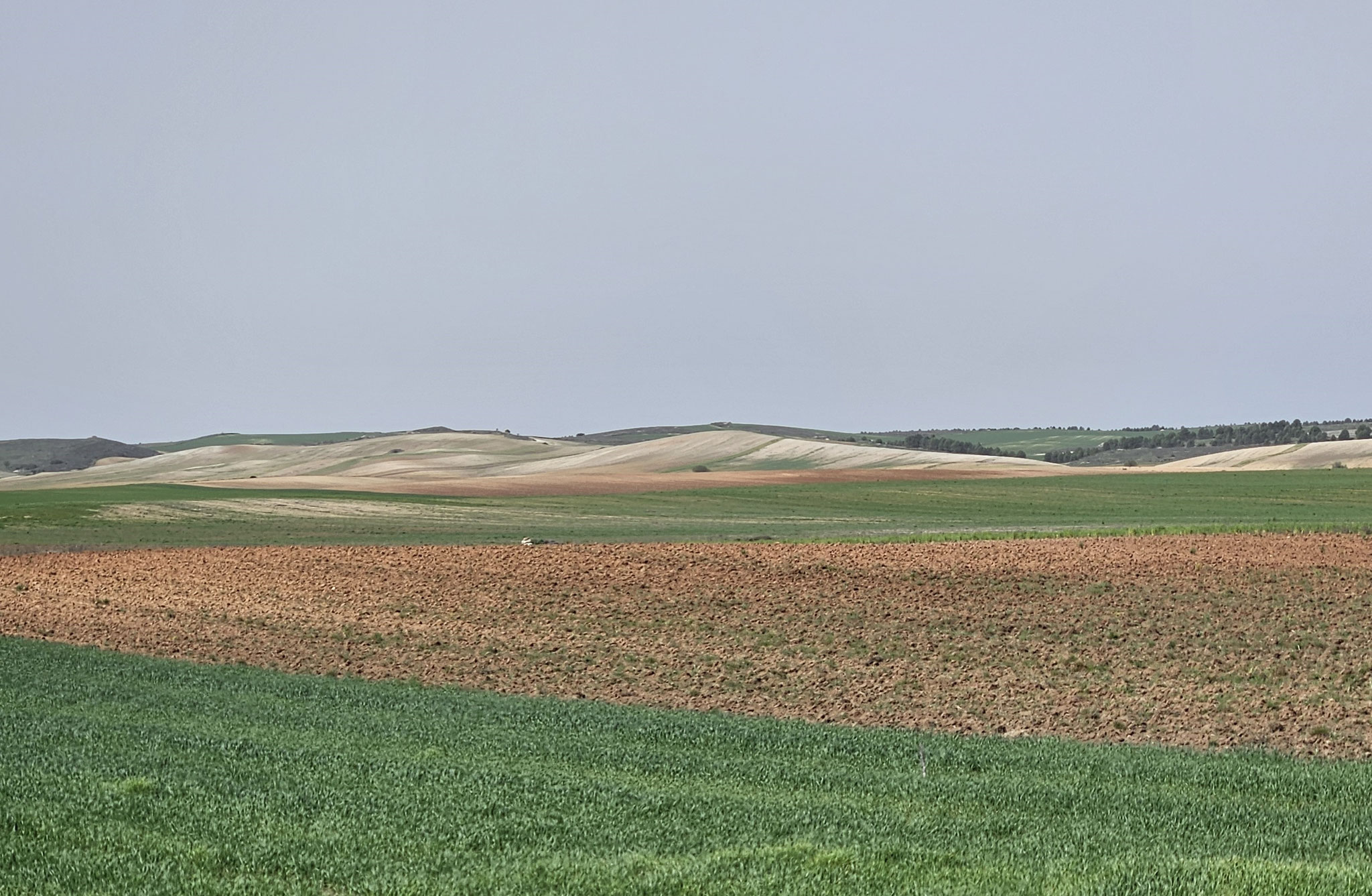 Auf dem Weg nach Cassacosa del Campo.