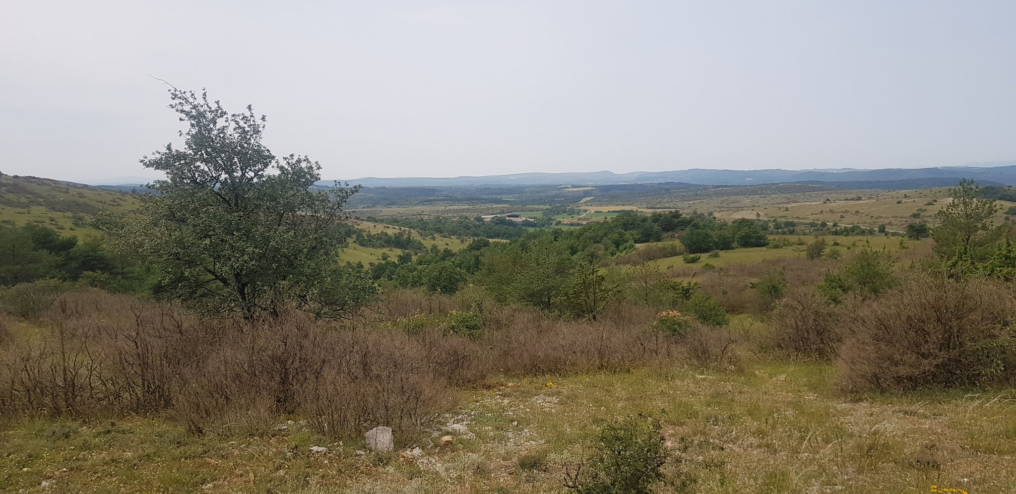 Le Bassel, Blick nach Westen: Larzac pur.