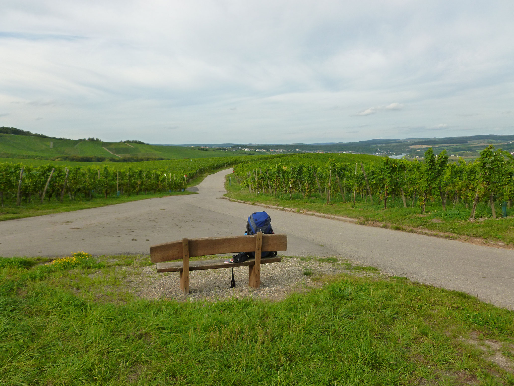 im Moseltal, vor Wellenstein.