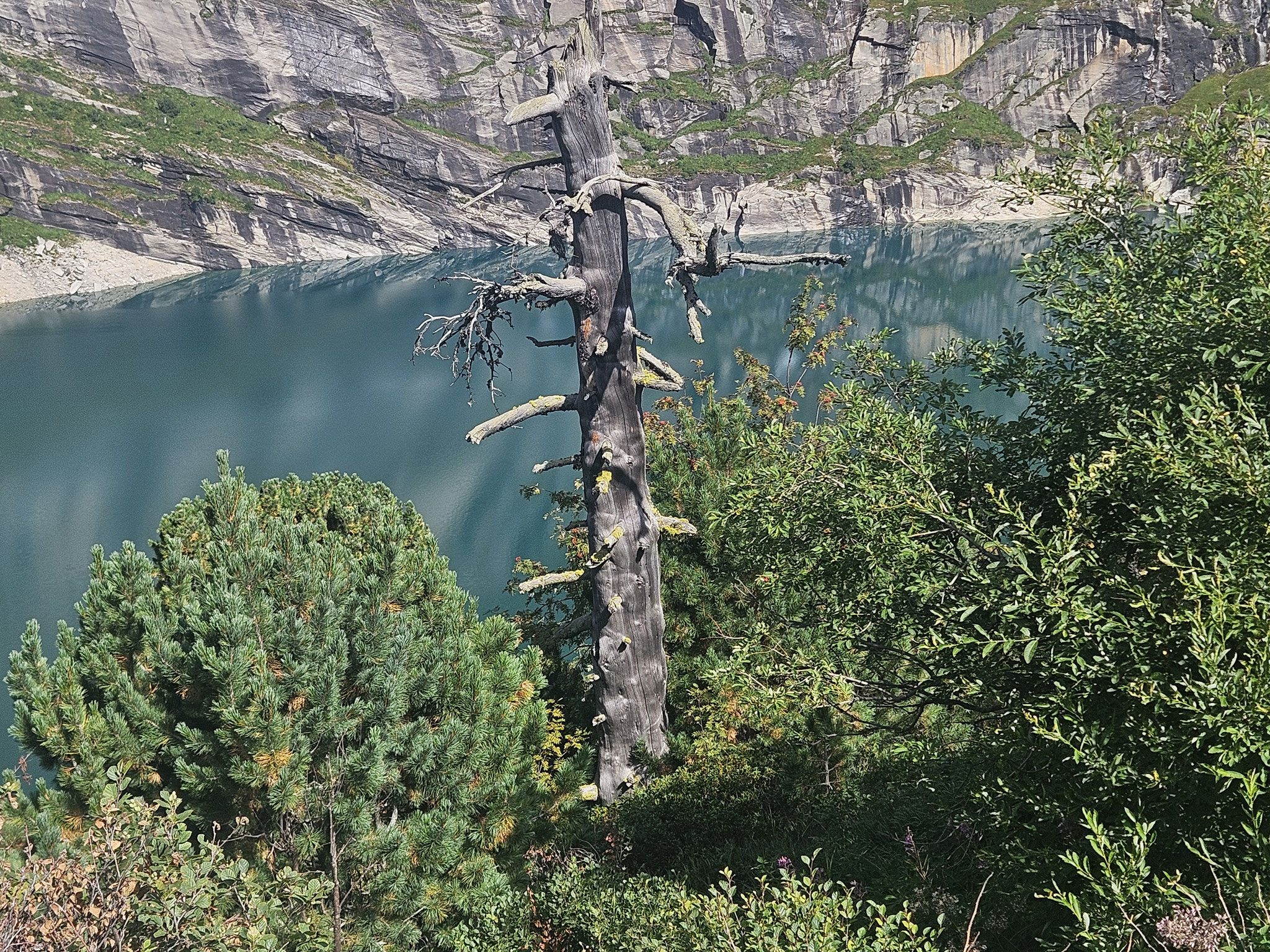 Zervreilasee Ostseite.