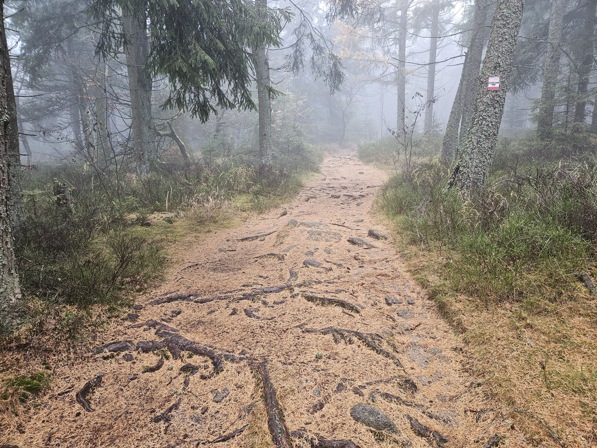 Am Plattenweg.