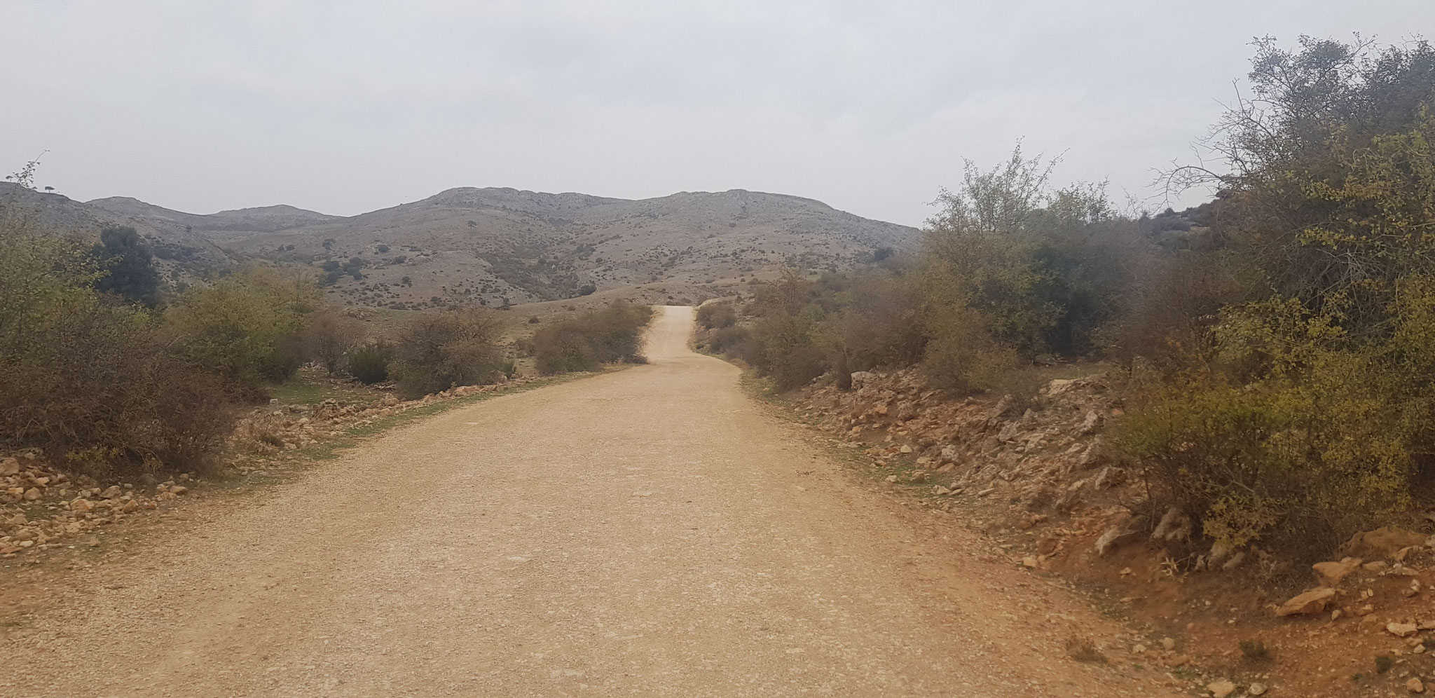 Campos de Hernán Pelea. Auf dem GR144 nach Norden.