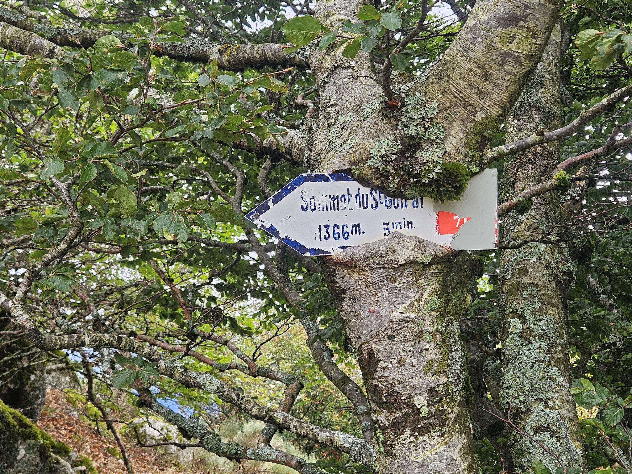 Saint-Guiral, Einladung zur Kletterei.