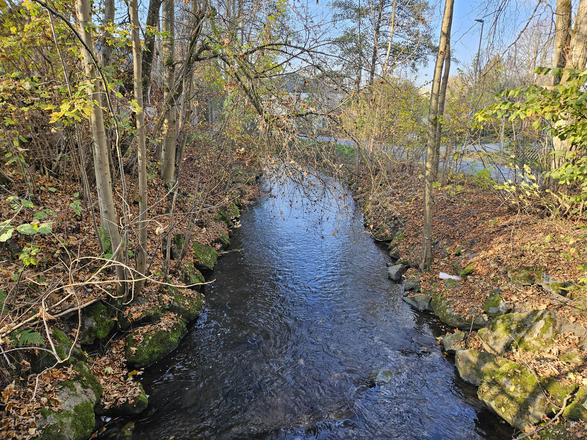 Warme Steinach bei Weidenberg.