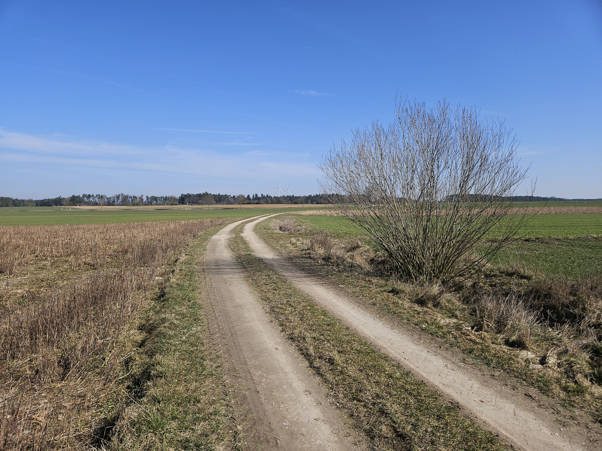 Im Lachfeld.