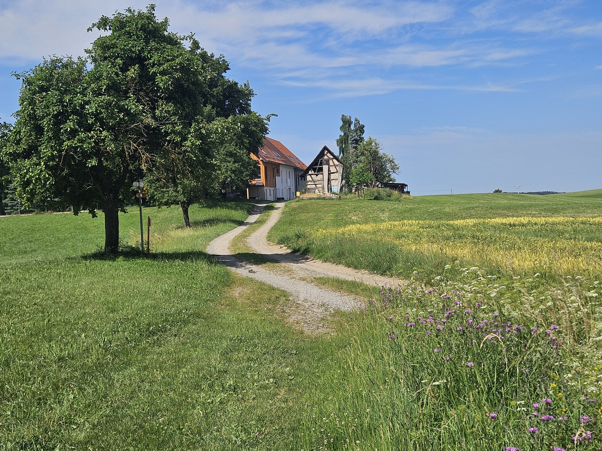 Oberatzenberg.